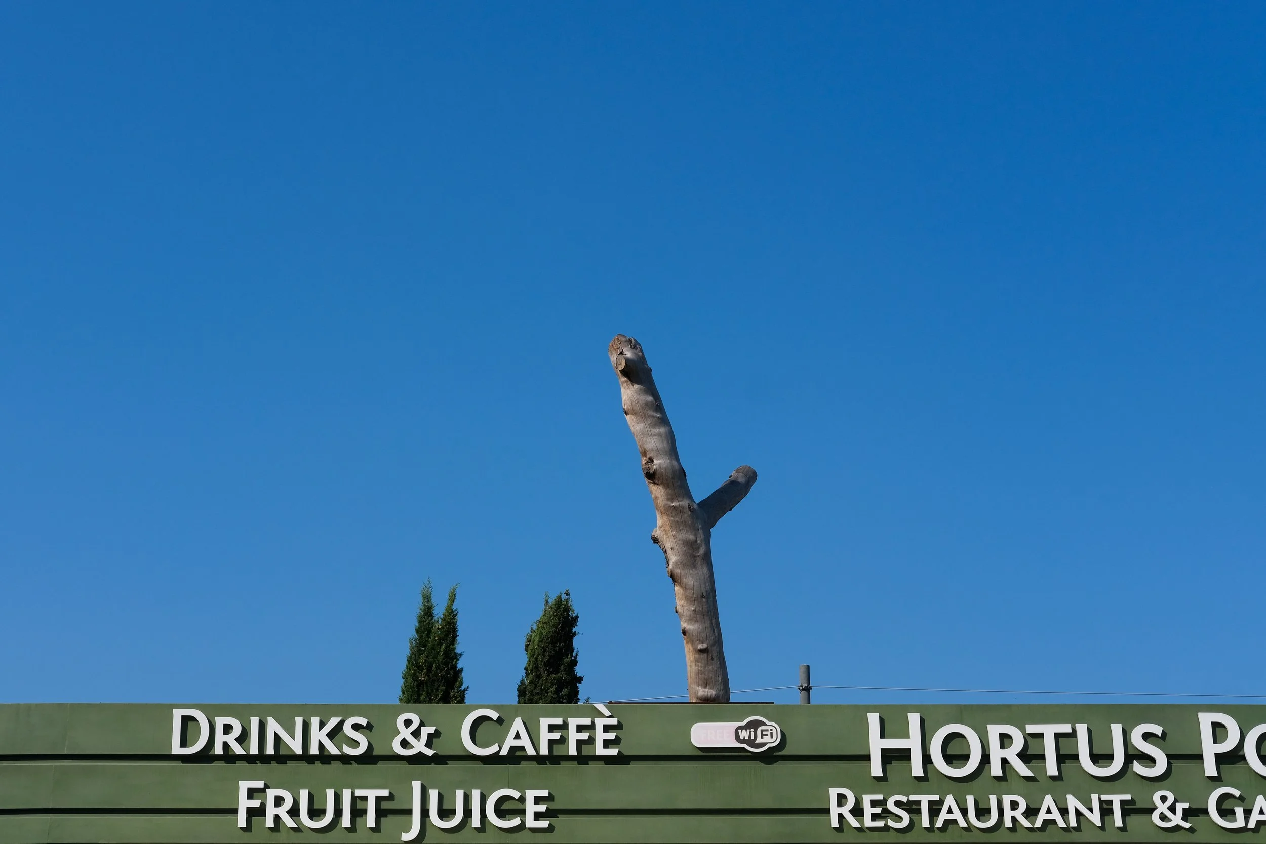 DSCF2555.jpg