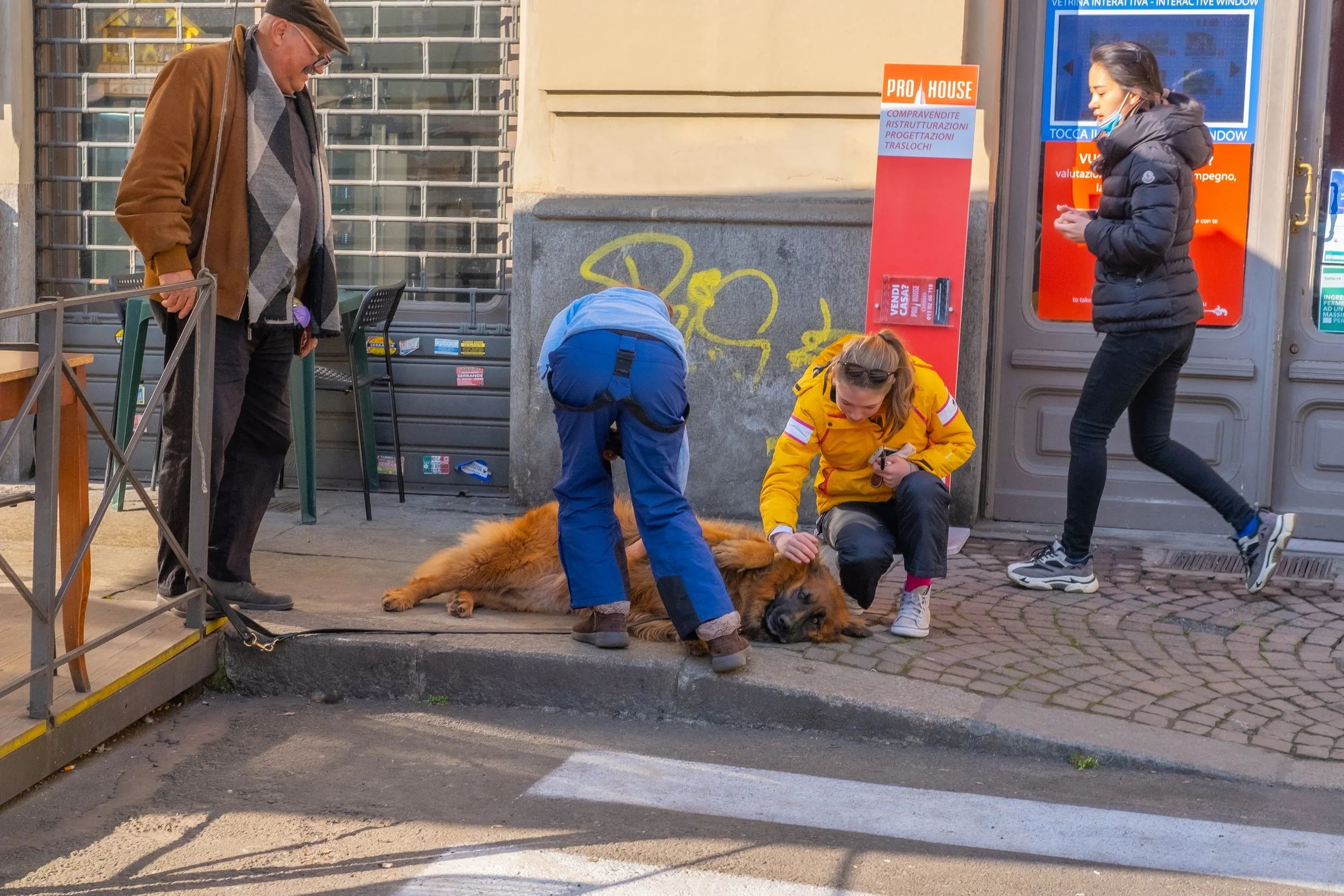 DSCF9427.jpg