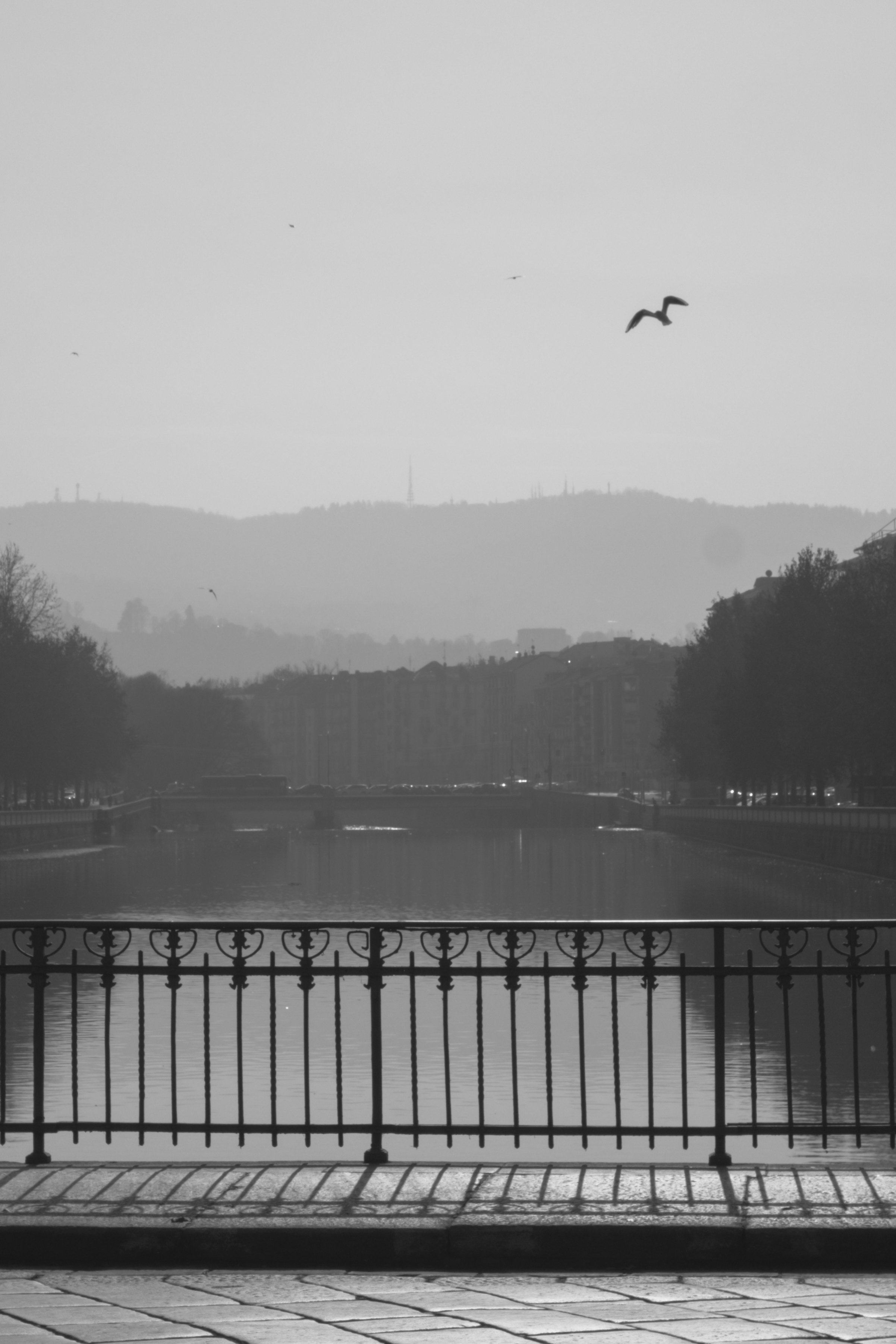 DSCF9471.jpg