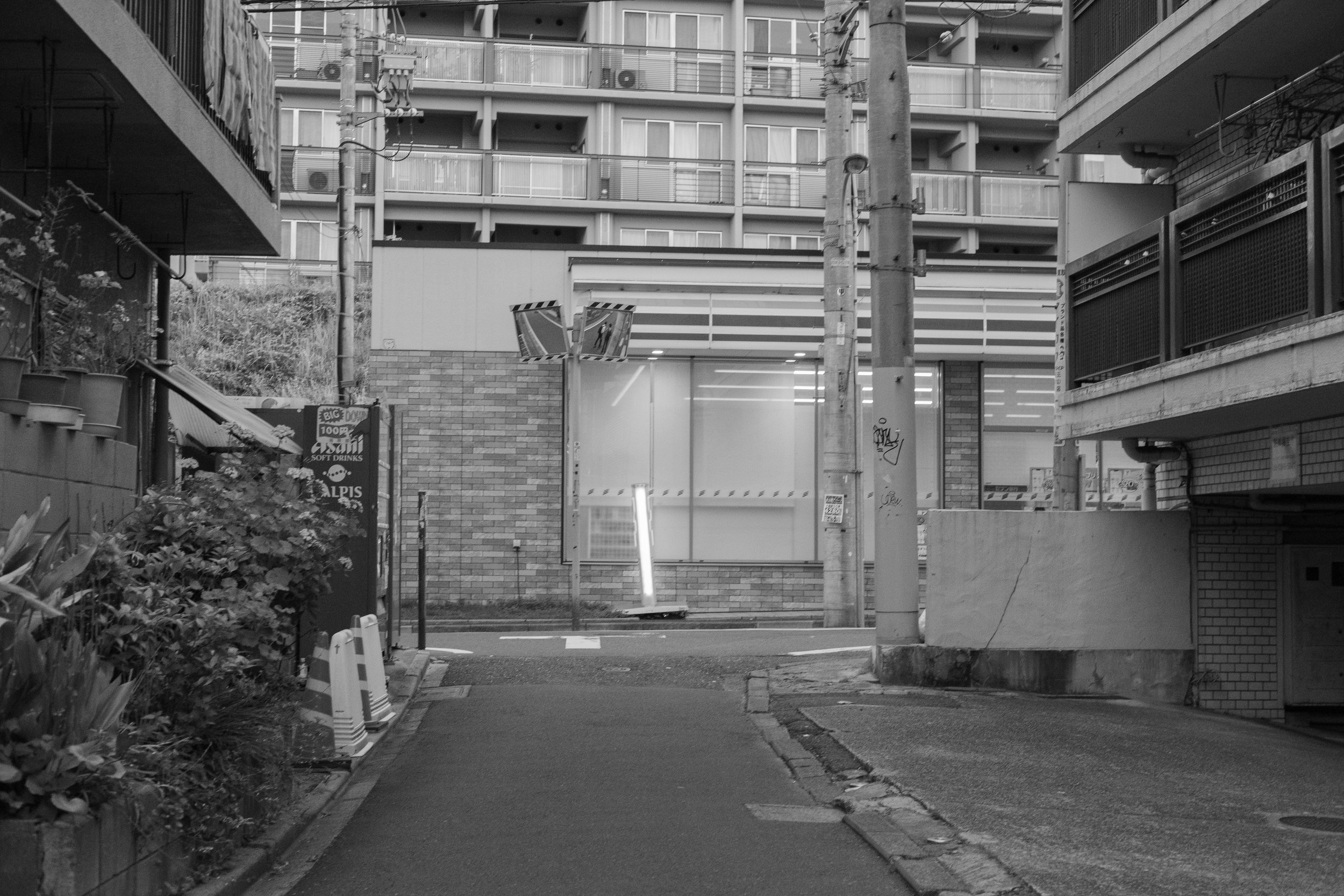 DSCF6866.jpg