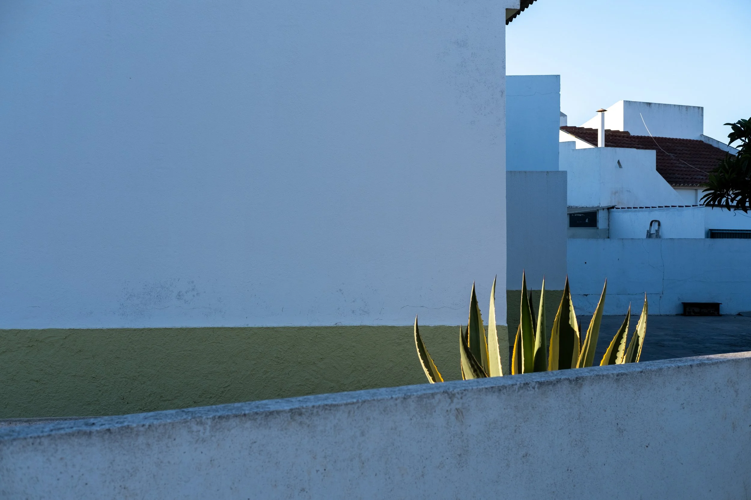 DSCF4744.jpg