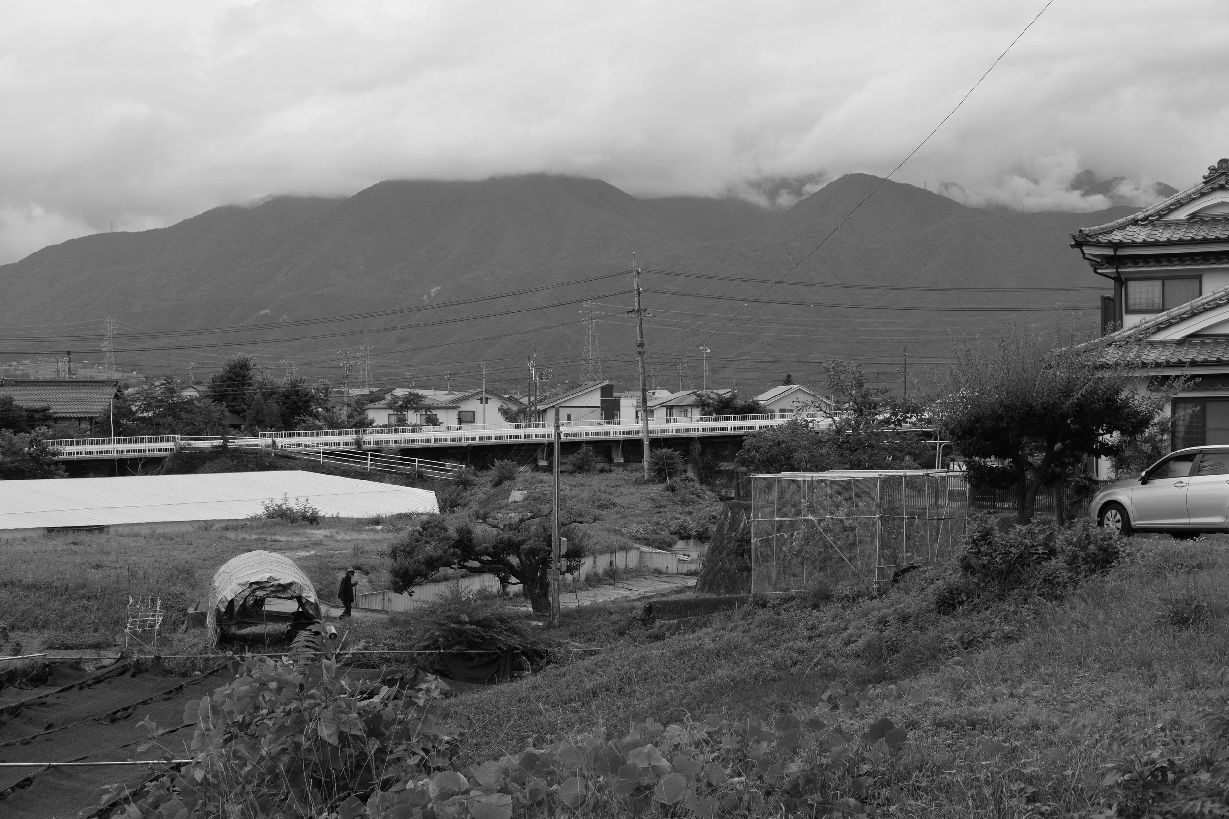 DSCF7465.jpg