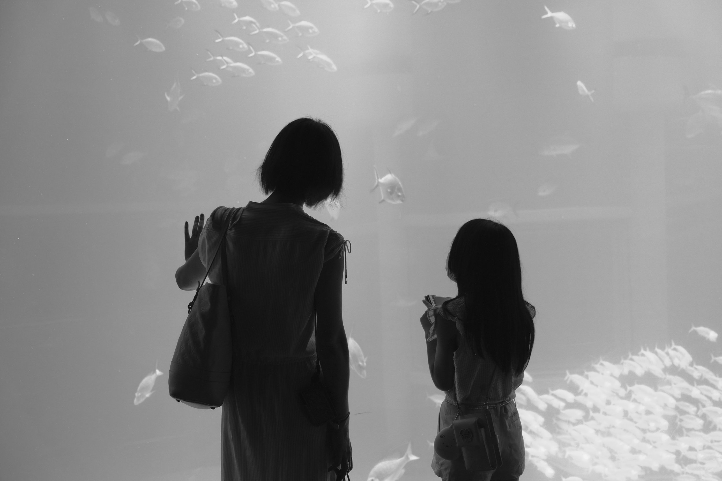 DSCF4568_1.jpg