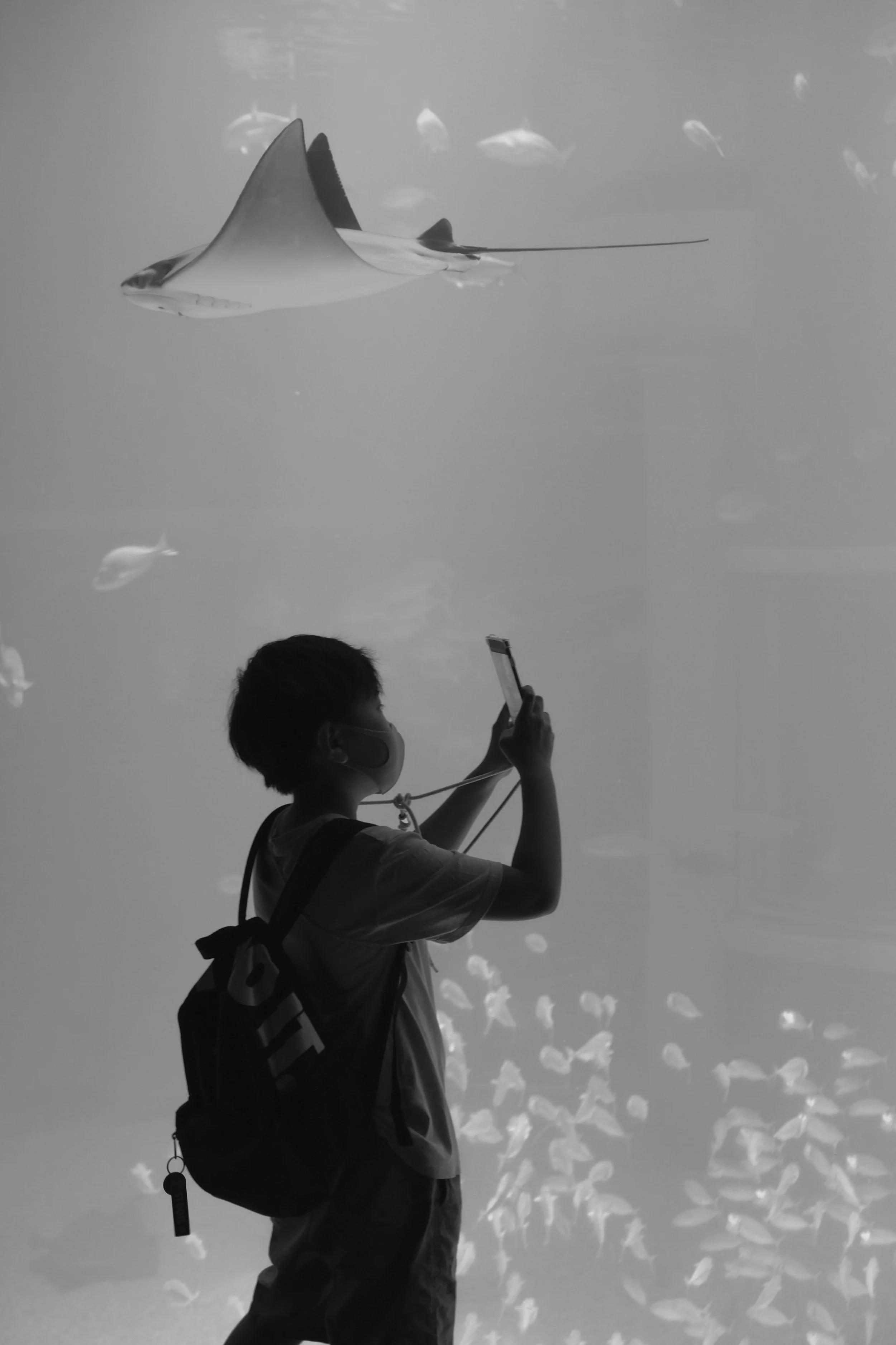 DSCF4588.jpg