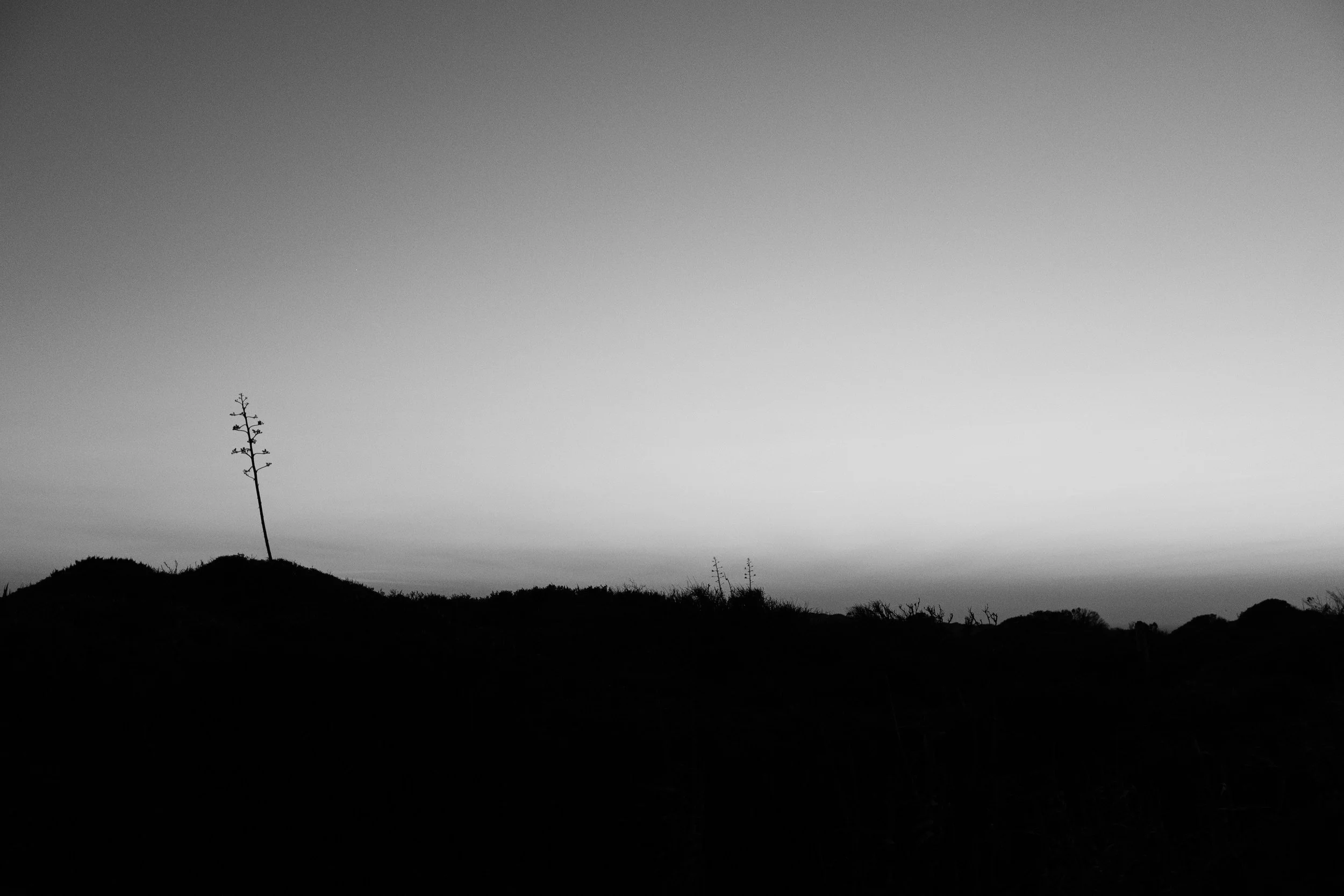 DSCF4852.jpg