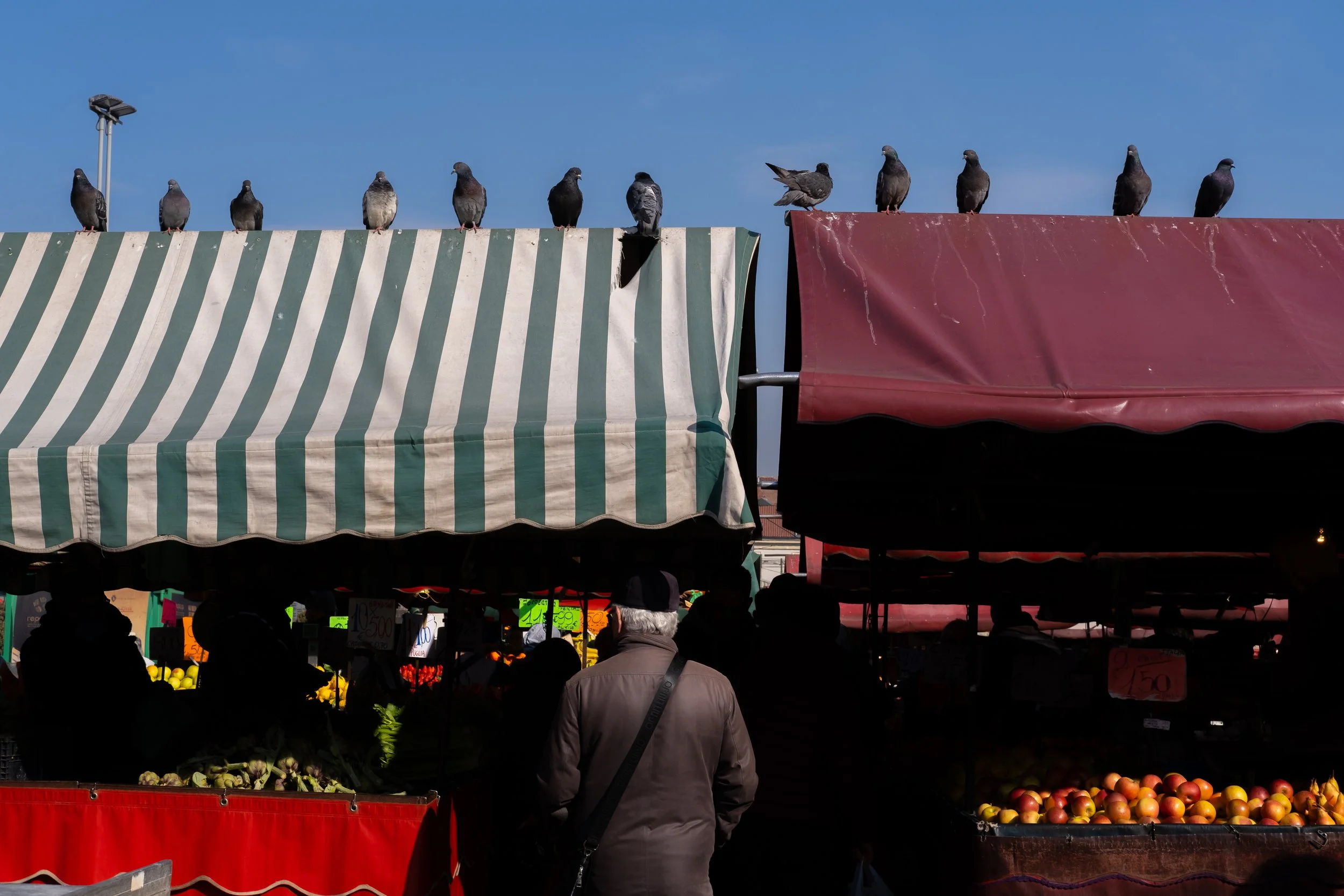 DSCF9567.jpg