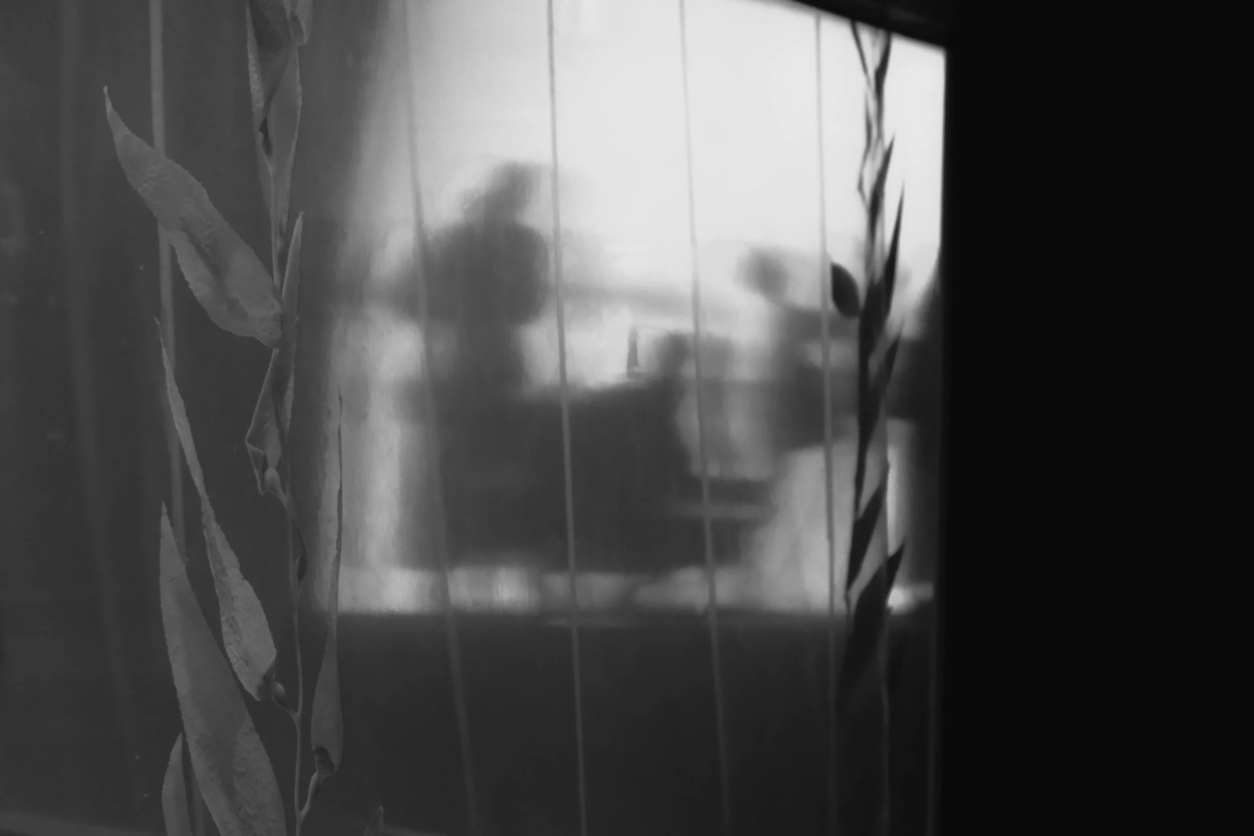 DSCF4615.jpg