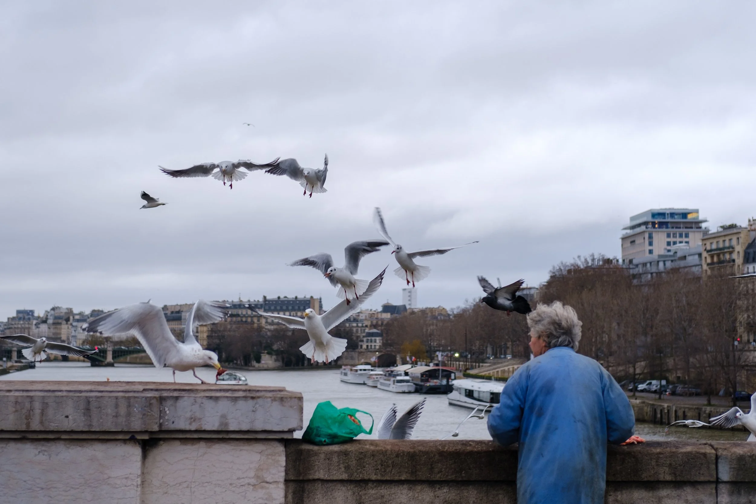 DSCF8533.jpg