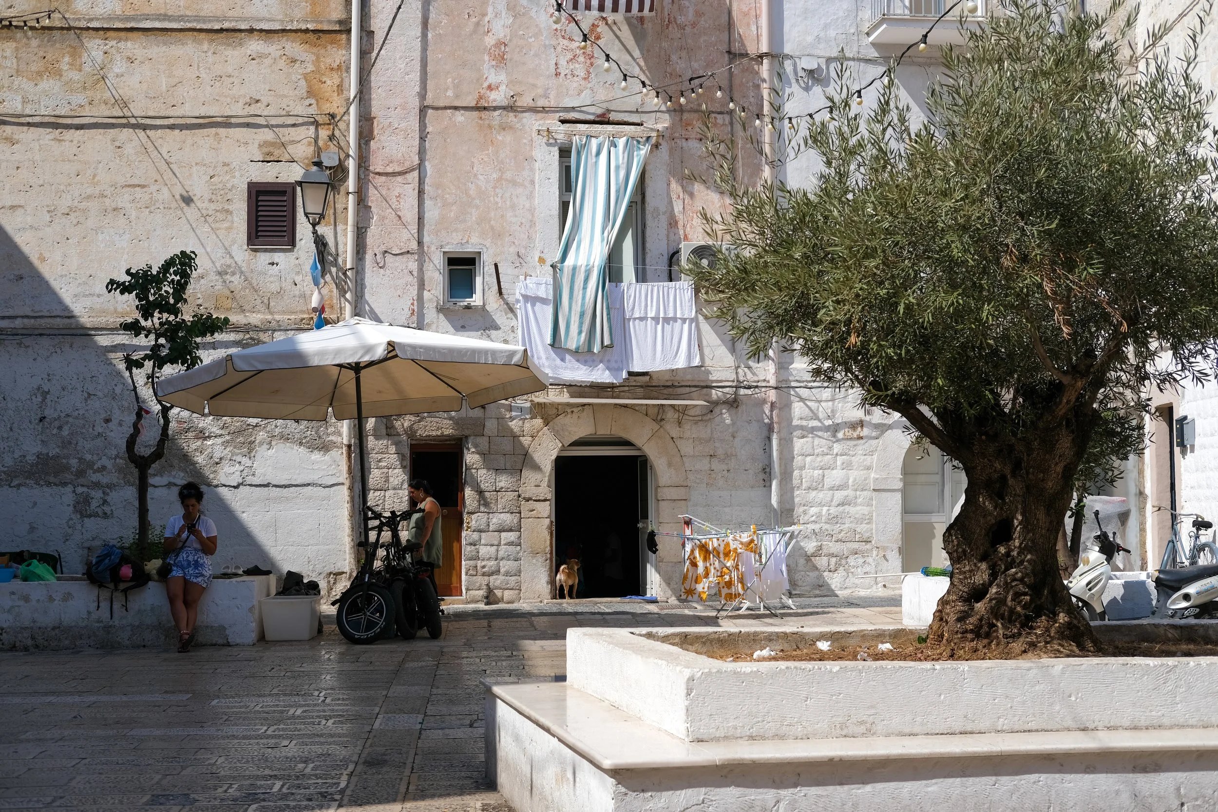 DSCF2290.jpg
