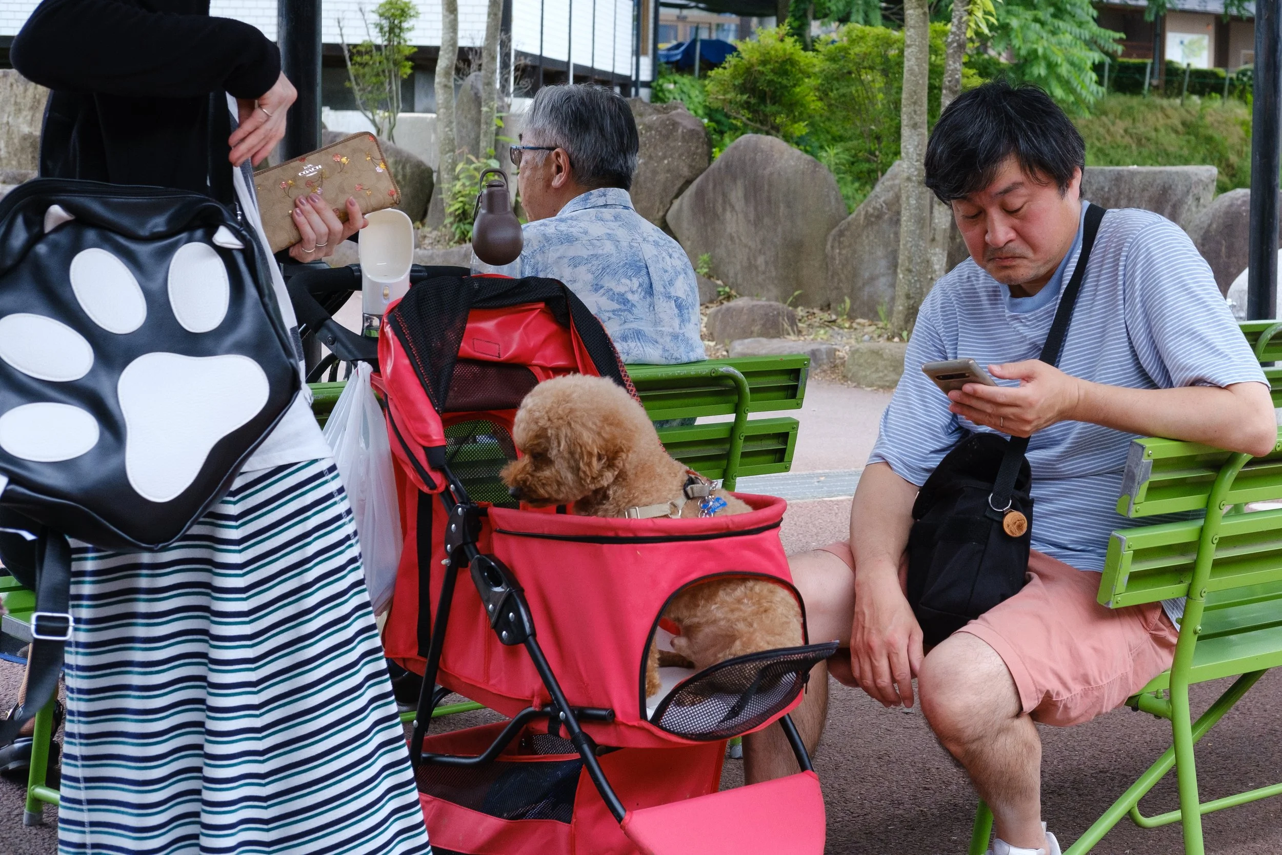 DSCF7454.jpg