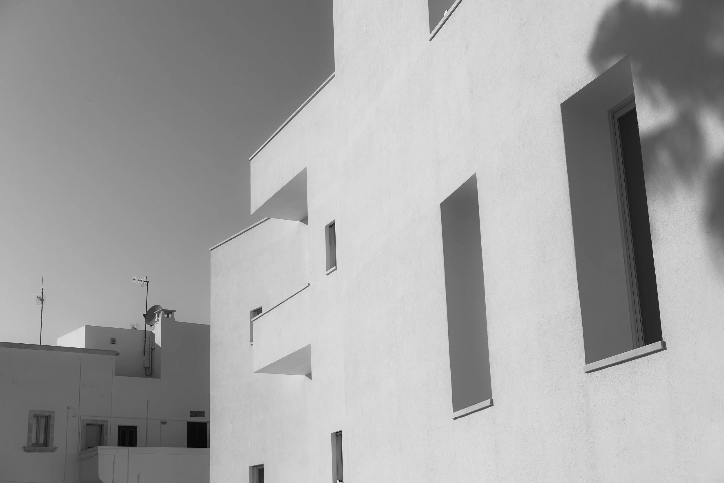 DSCF2385.jpg