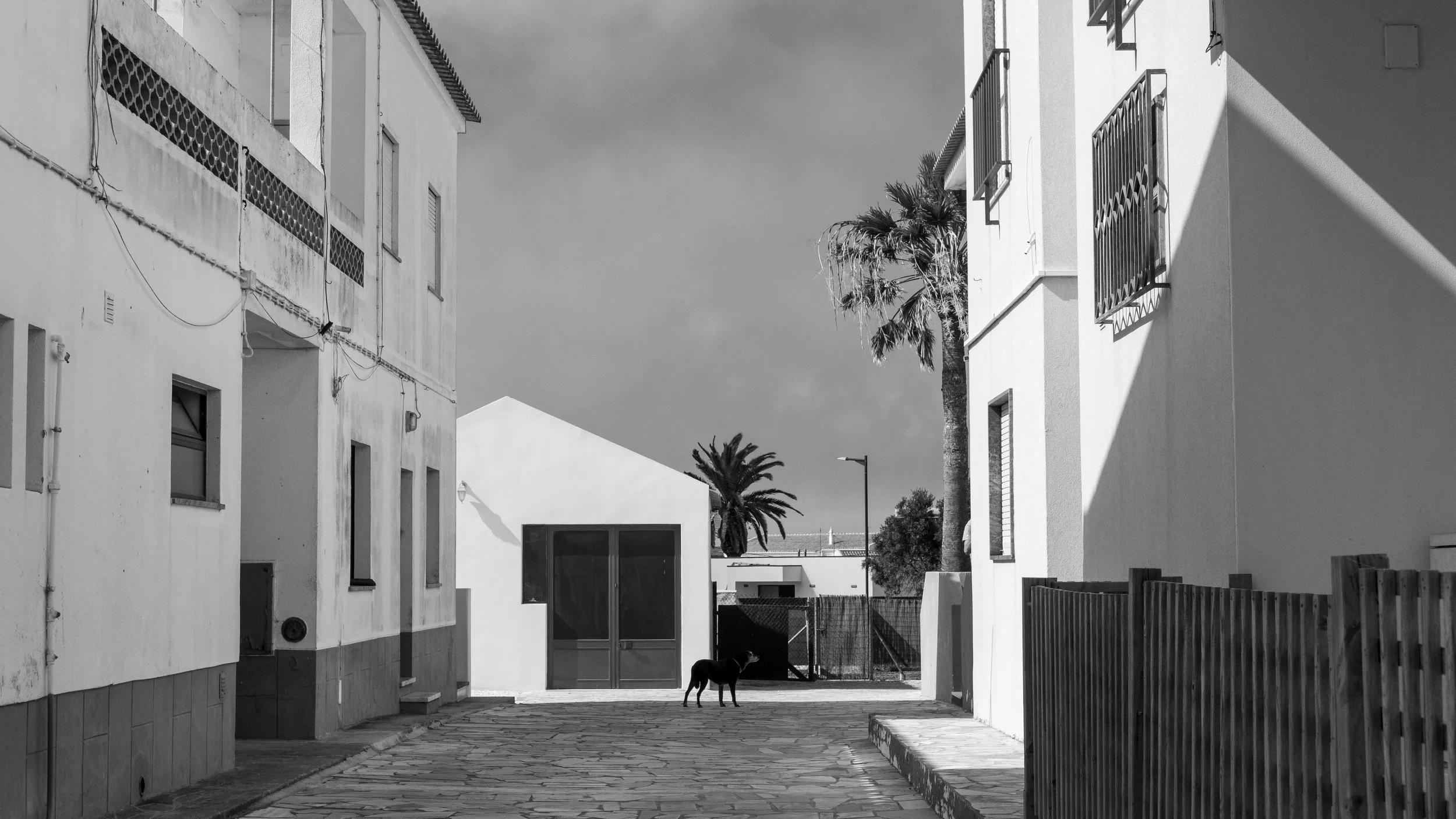 DSCF4753.jpg