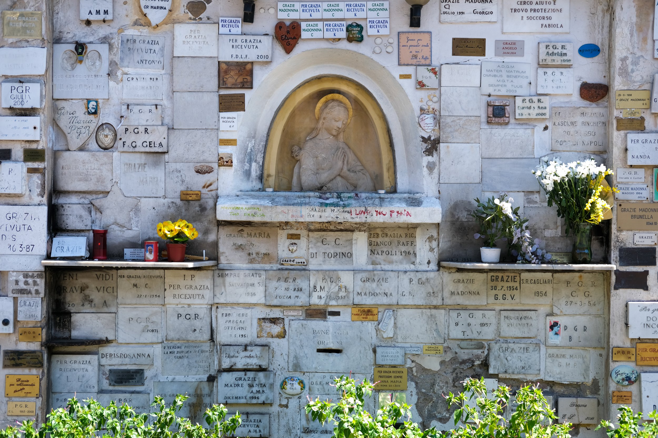 DSCF1773.jpg