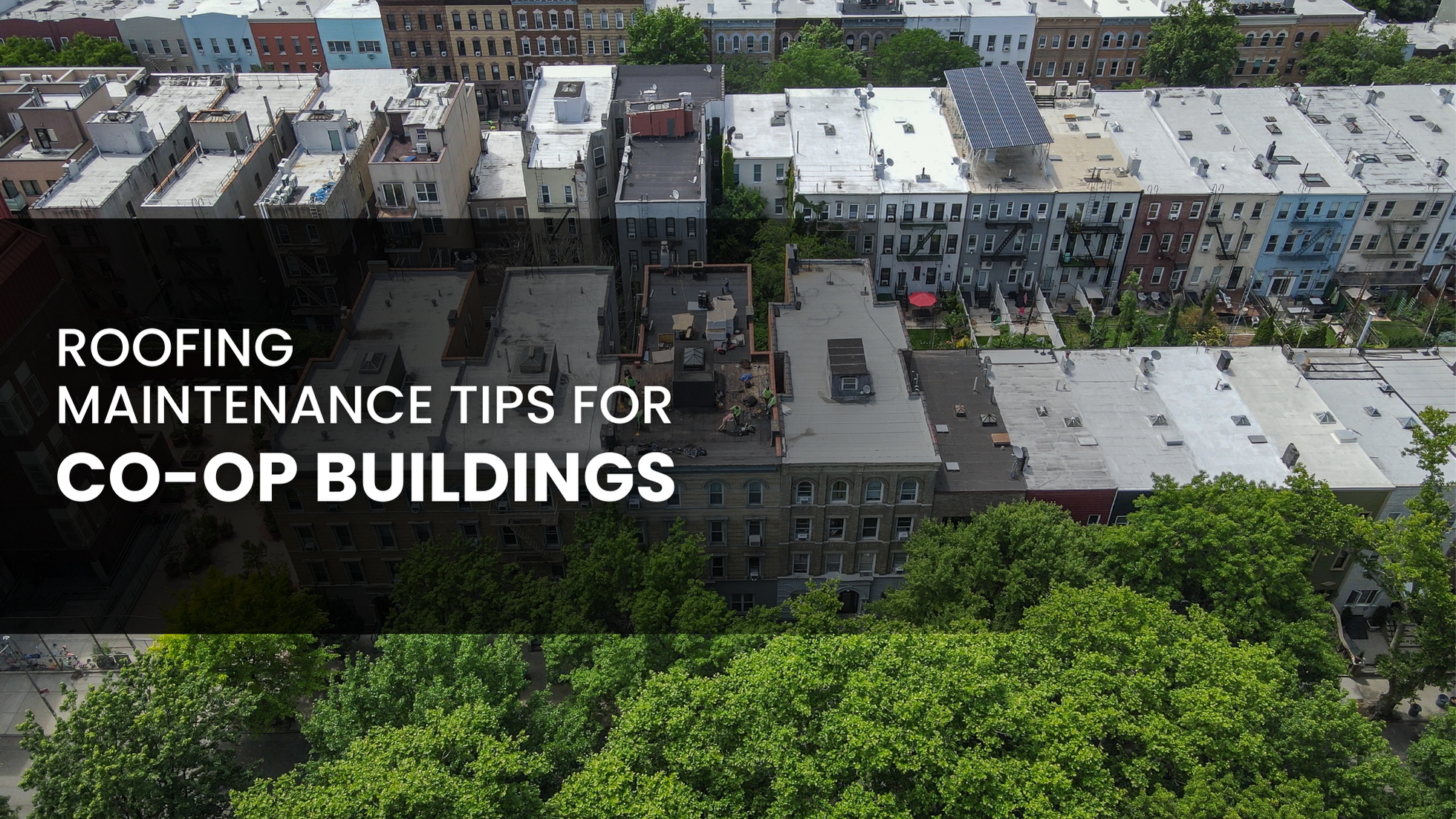 Roofing Maintenance Tips for Co-op Buildings