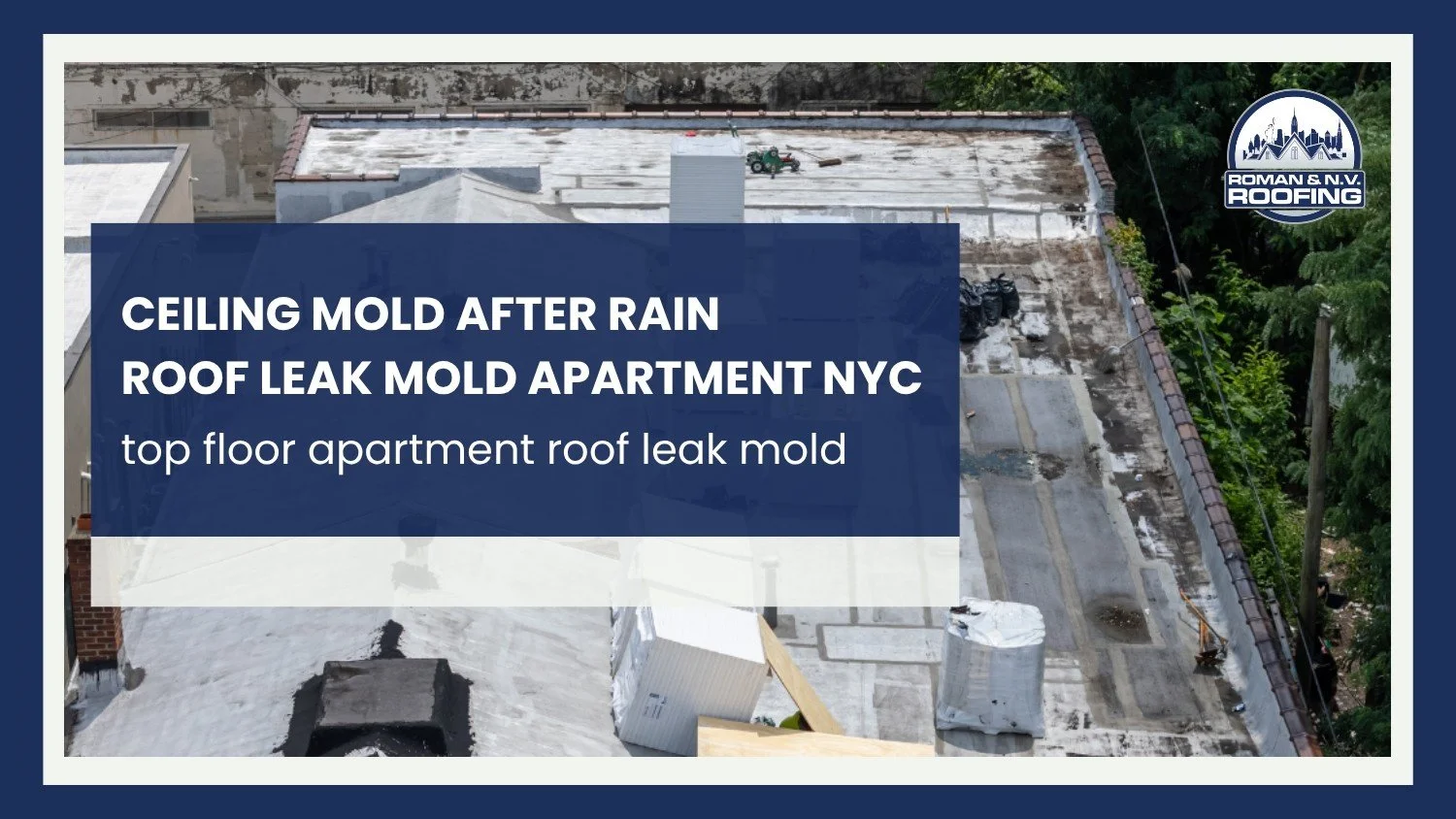 Why Mold Appears in Top-Floor Apartments After Rain