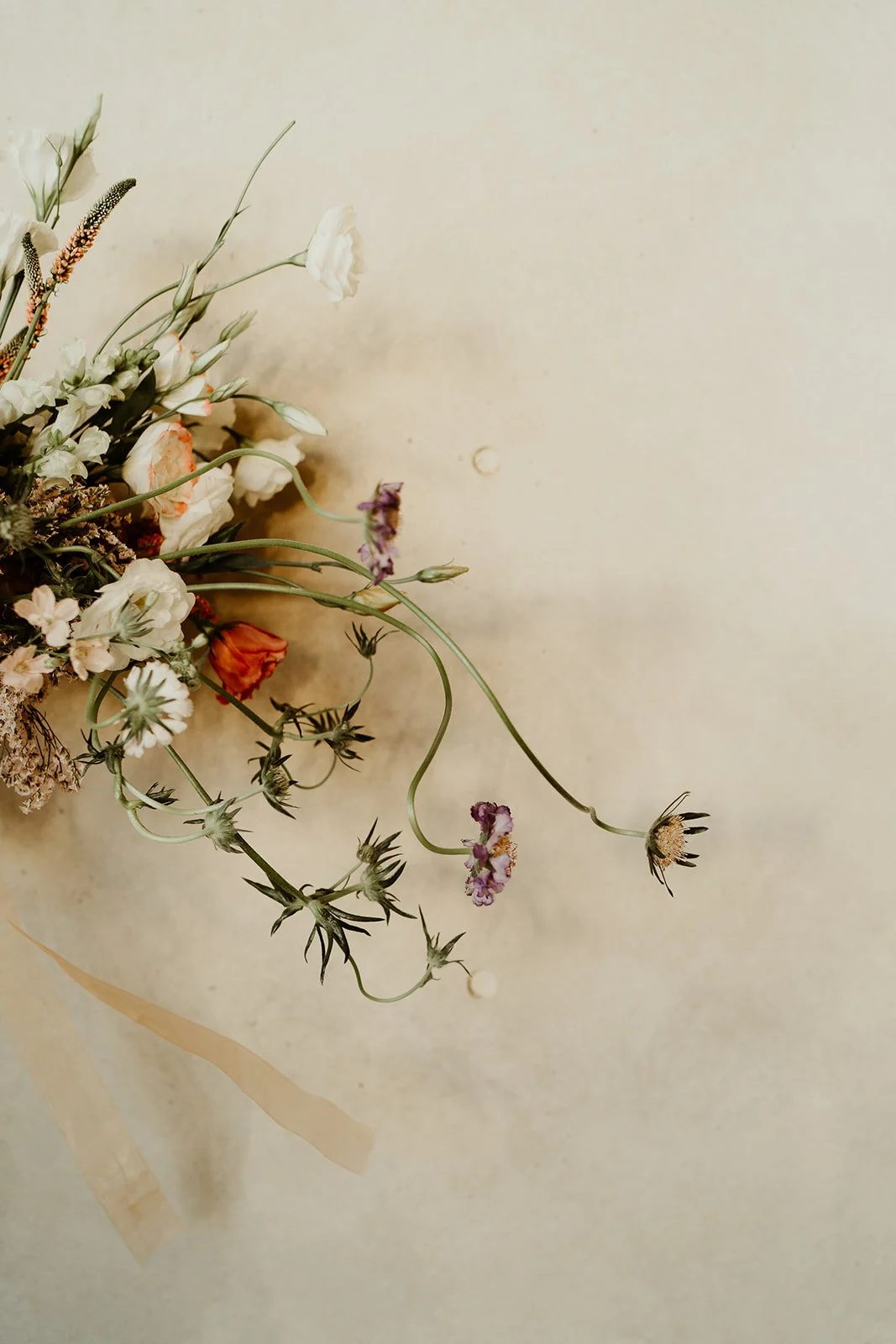 A bouquet of mixed flowers with white, purple, and orange blossoms against a neutral background.