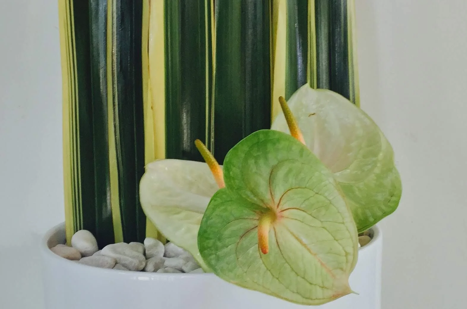 Fresh flower Arrangements