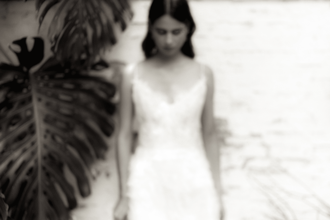 Blurred image of a person in a white dress with a large plant leaf in the foreground.