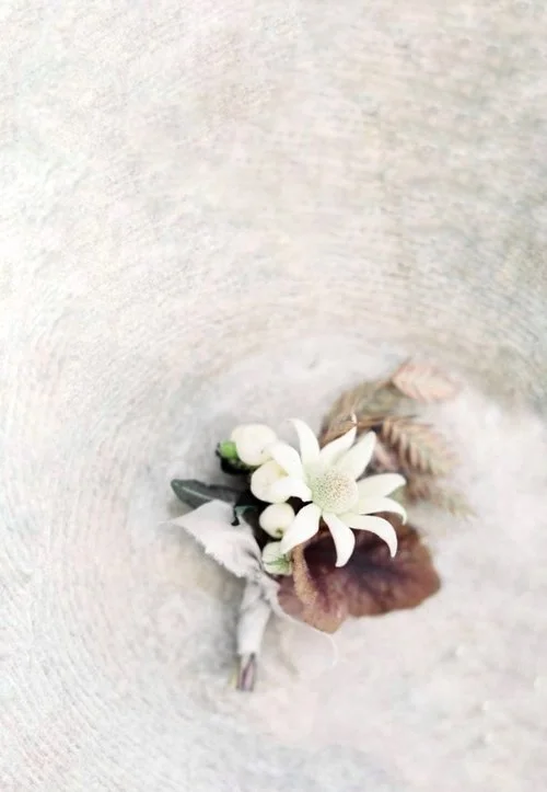 Close-up of a delicate floral arrangement on a textured beige background, featuring white flowers with green leaves and brown foliage.