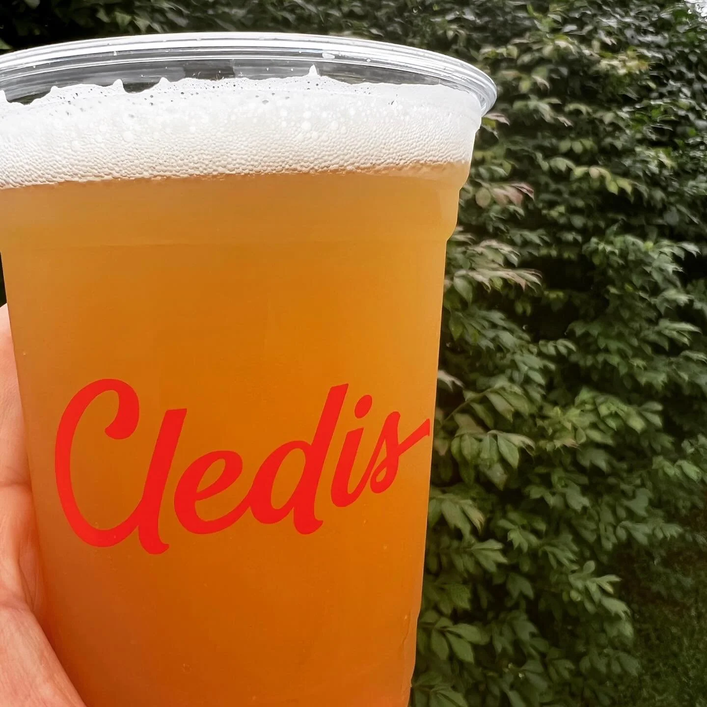 HAPPY HOUR ALL DAY LONG. BOGO beers and $5 wells every Tuesday from open to close. Come join us! 🍻🍷🥃🍔
.
.
.
.
#nashvilleburger #nashvillehappyhour #nashvillefoodies #nashvilleeats #supportlocal