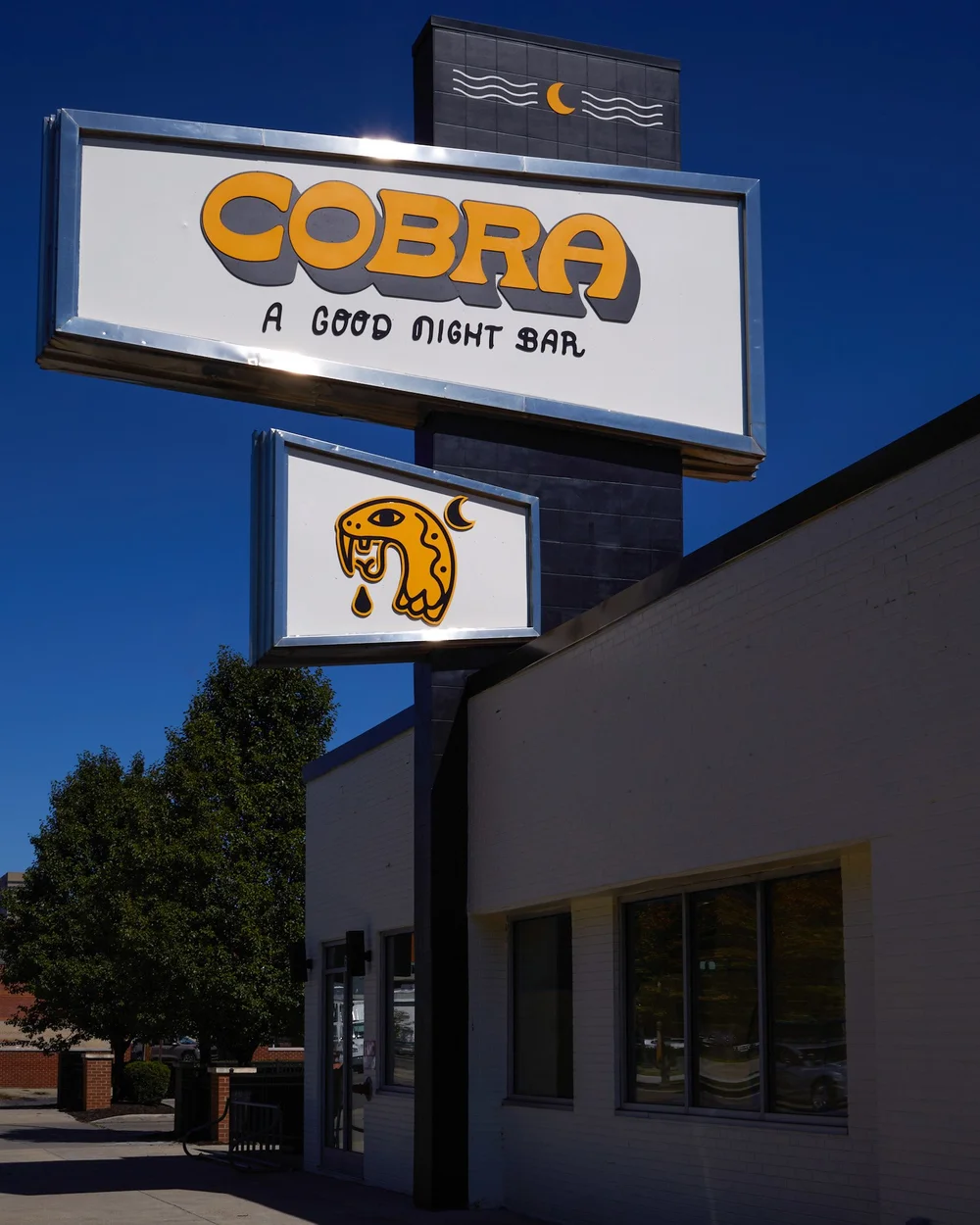 COBRA