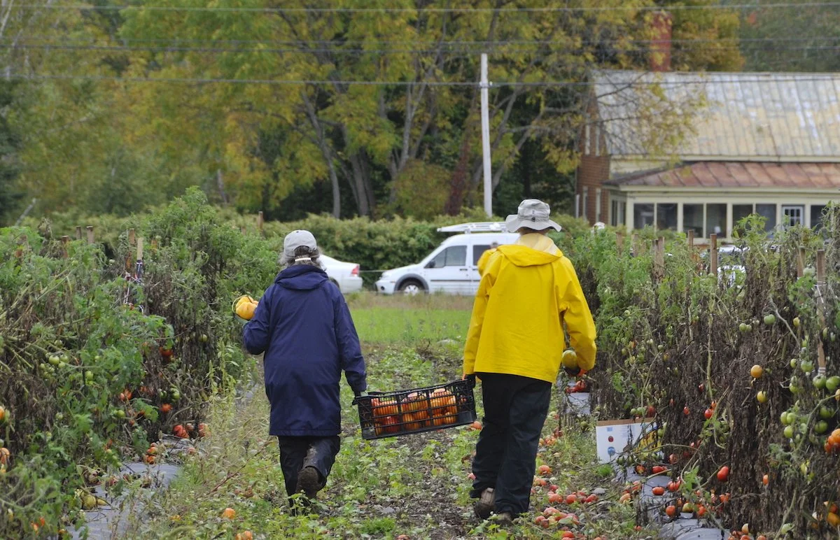 Abundance and Dignity: Food Resources in Maine
