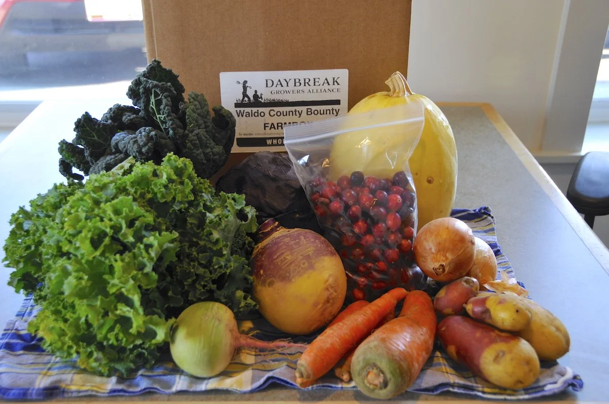 WaldoCountyBounty_Farm-to-Pantry Program - Farm Box contents