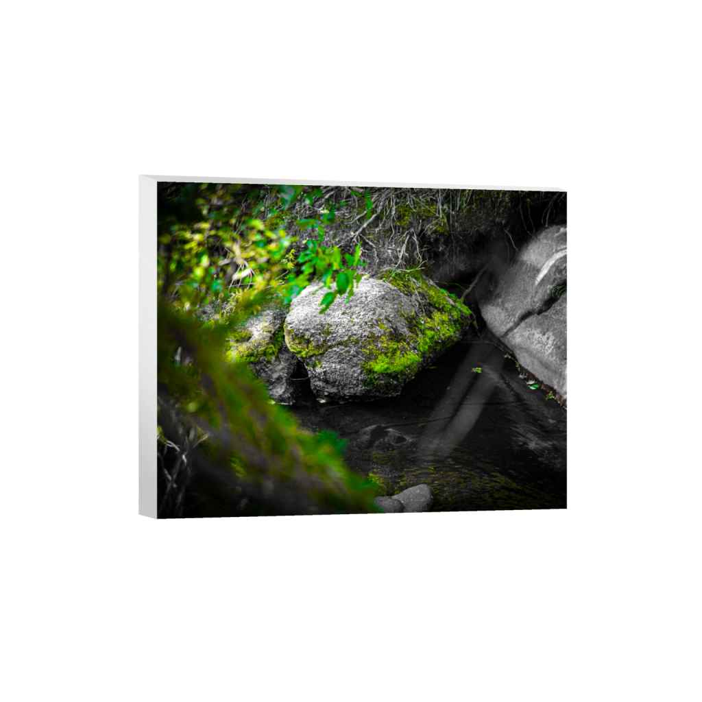 ptq_7_6_520_0_5200_4160_0_false_ffffff_0_0_.png