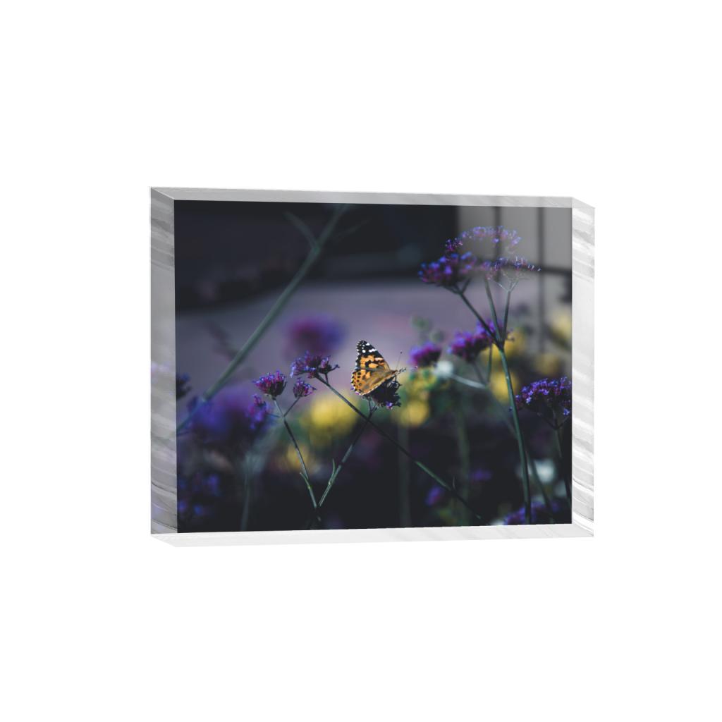 ptq_300_6_520_0_5200_4160_0_false_ffffff_0_0_.png
