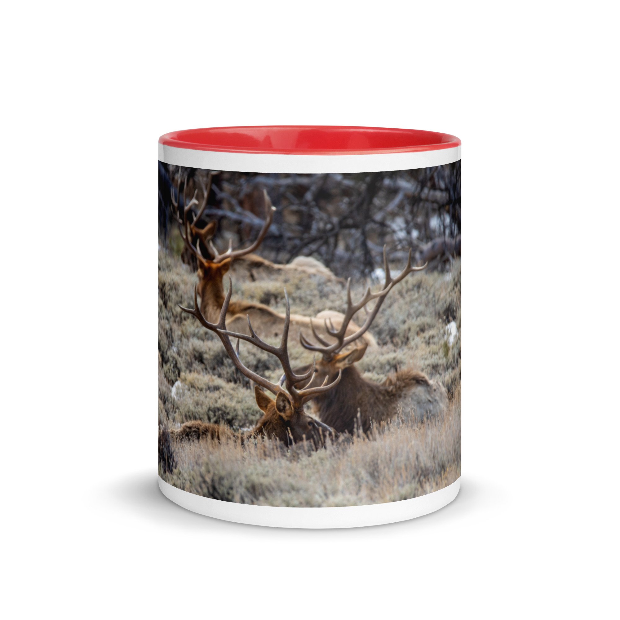 white-ceramic-mug-with-color-inside-red-11-oz-front-67cd55479cfbd.jpg