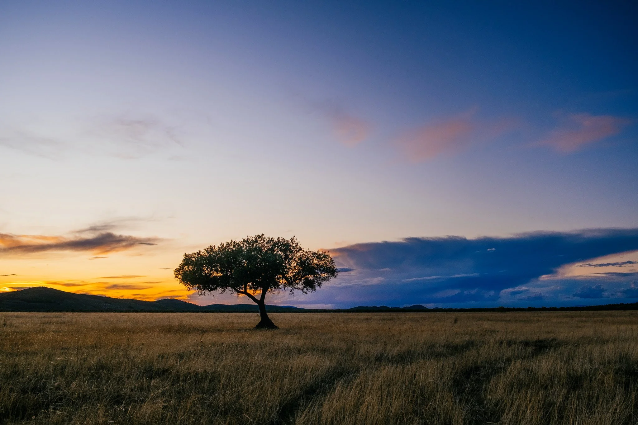 Olive Tree Plateau, Spain