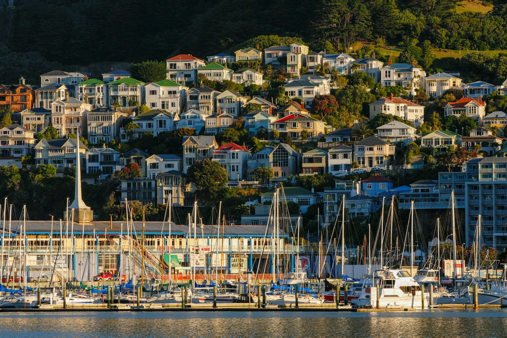 Wellington Harbour