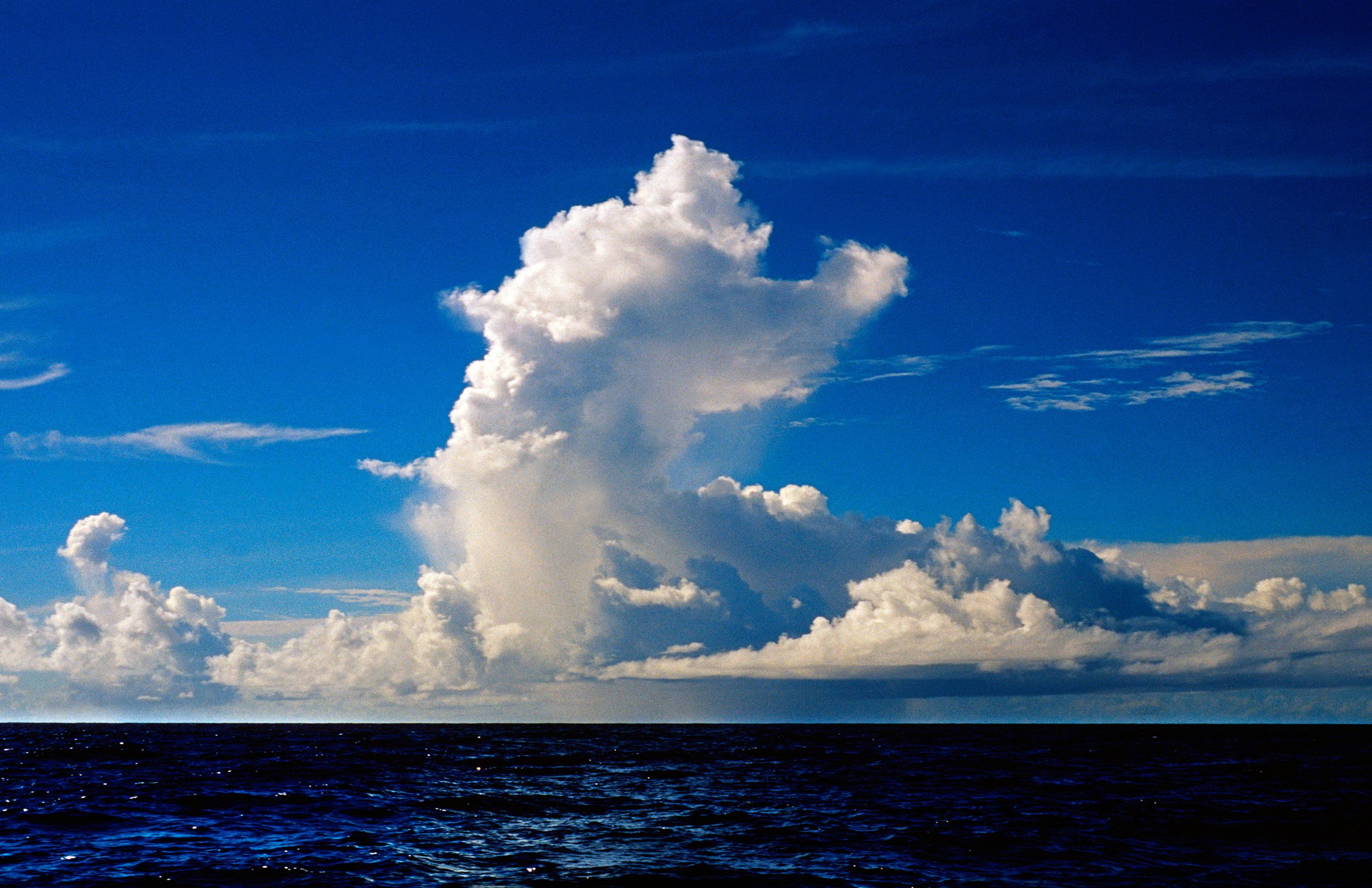 Seascapes