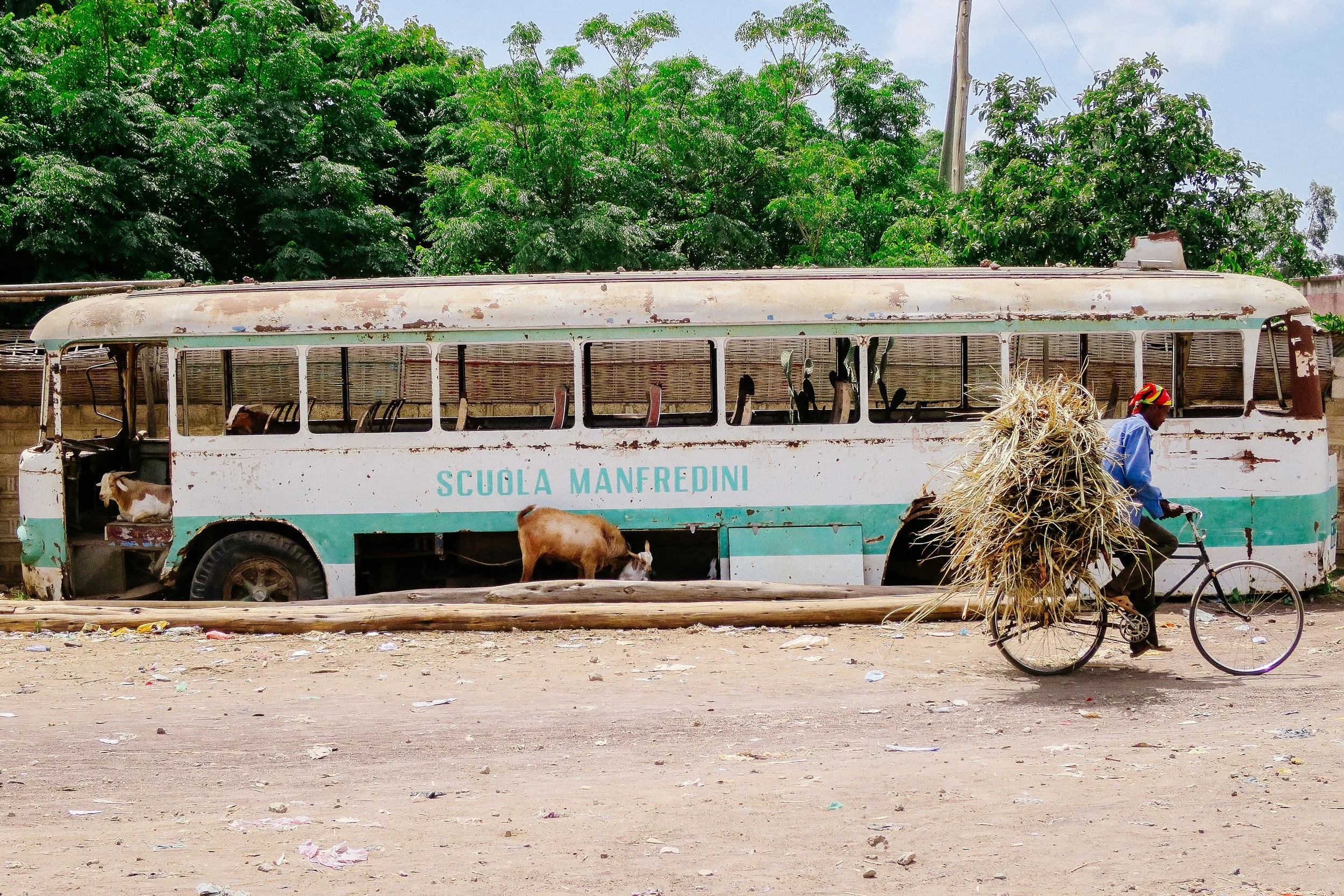 The Old School Bus