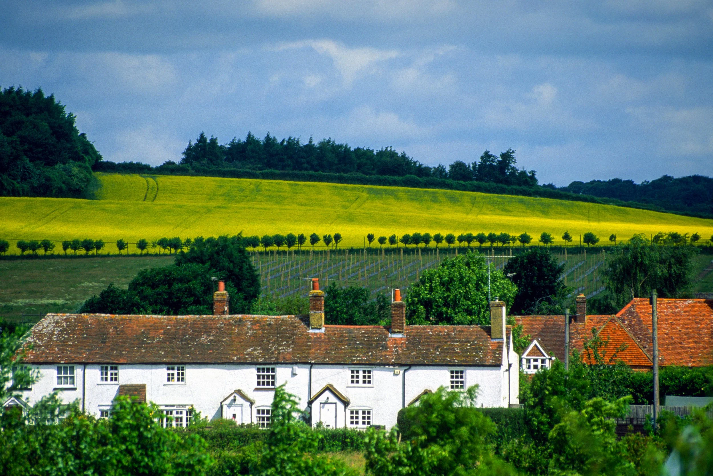 Hampshire Cottages