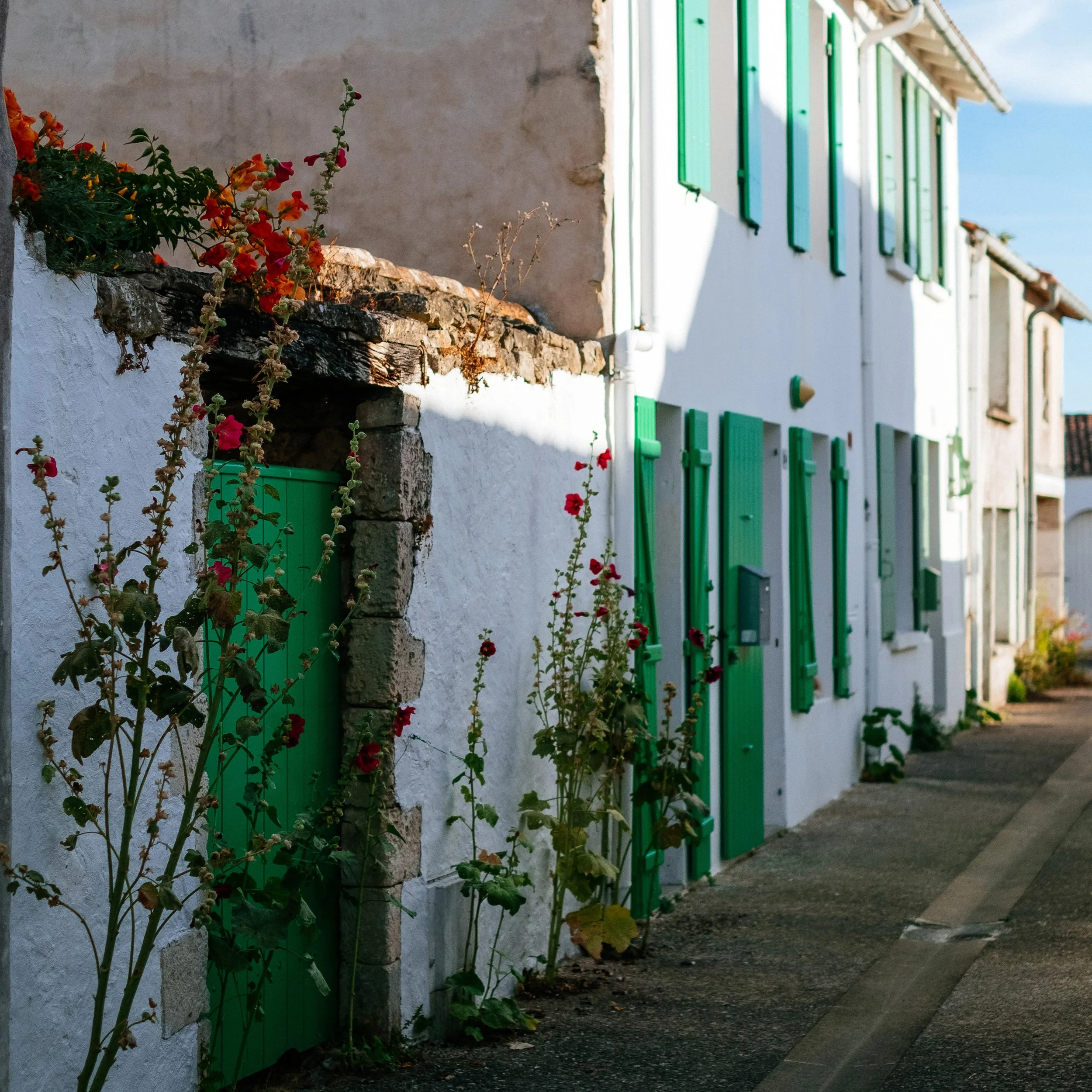 Ile de Re