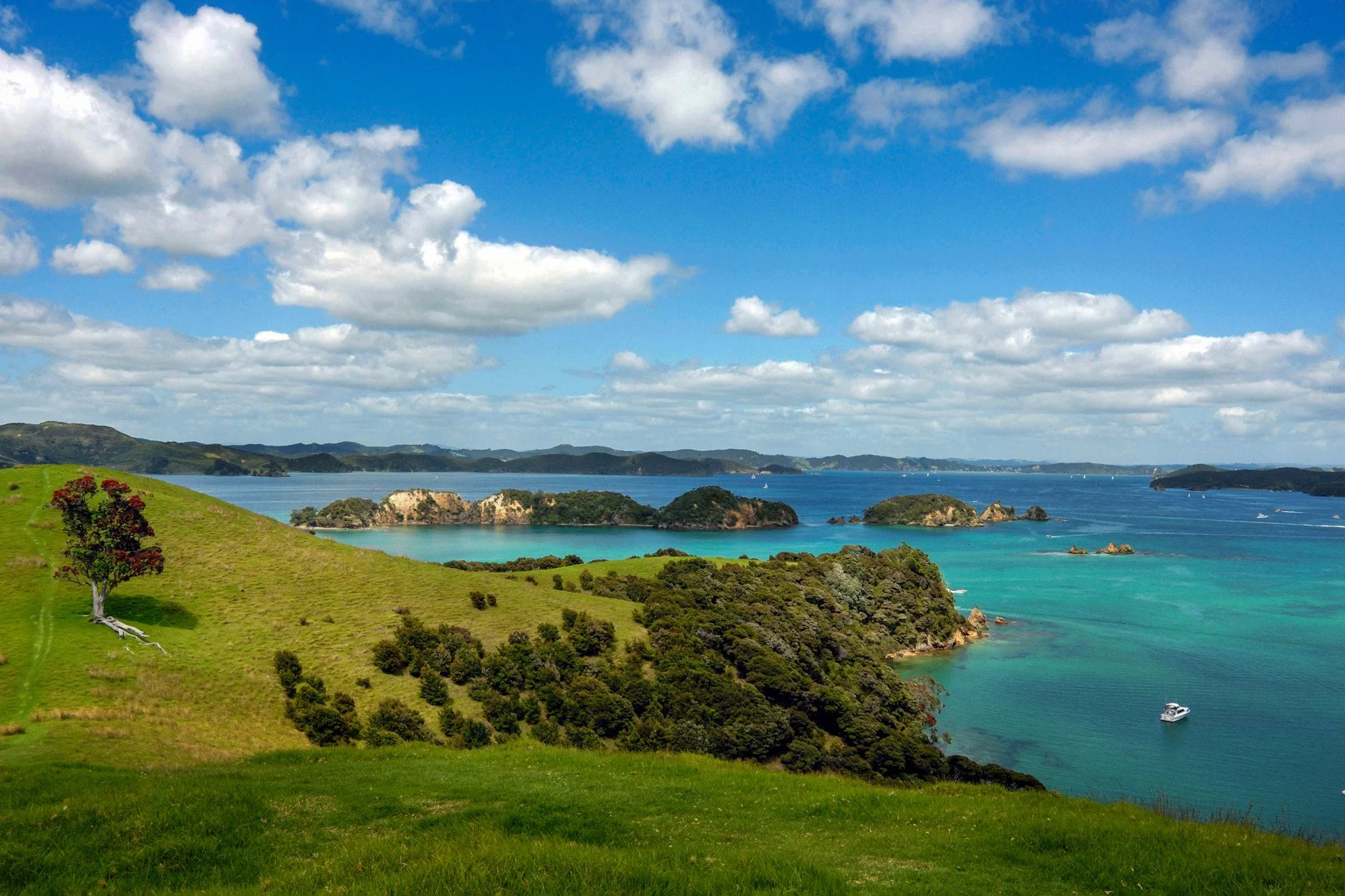 Bay of Islands