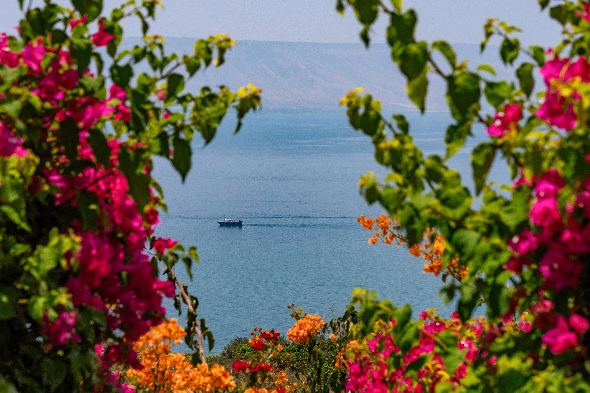 Sea of Galilee