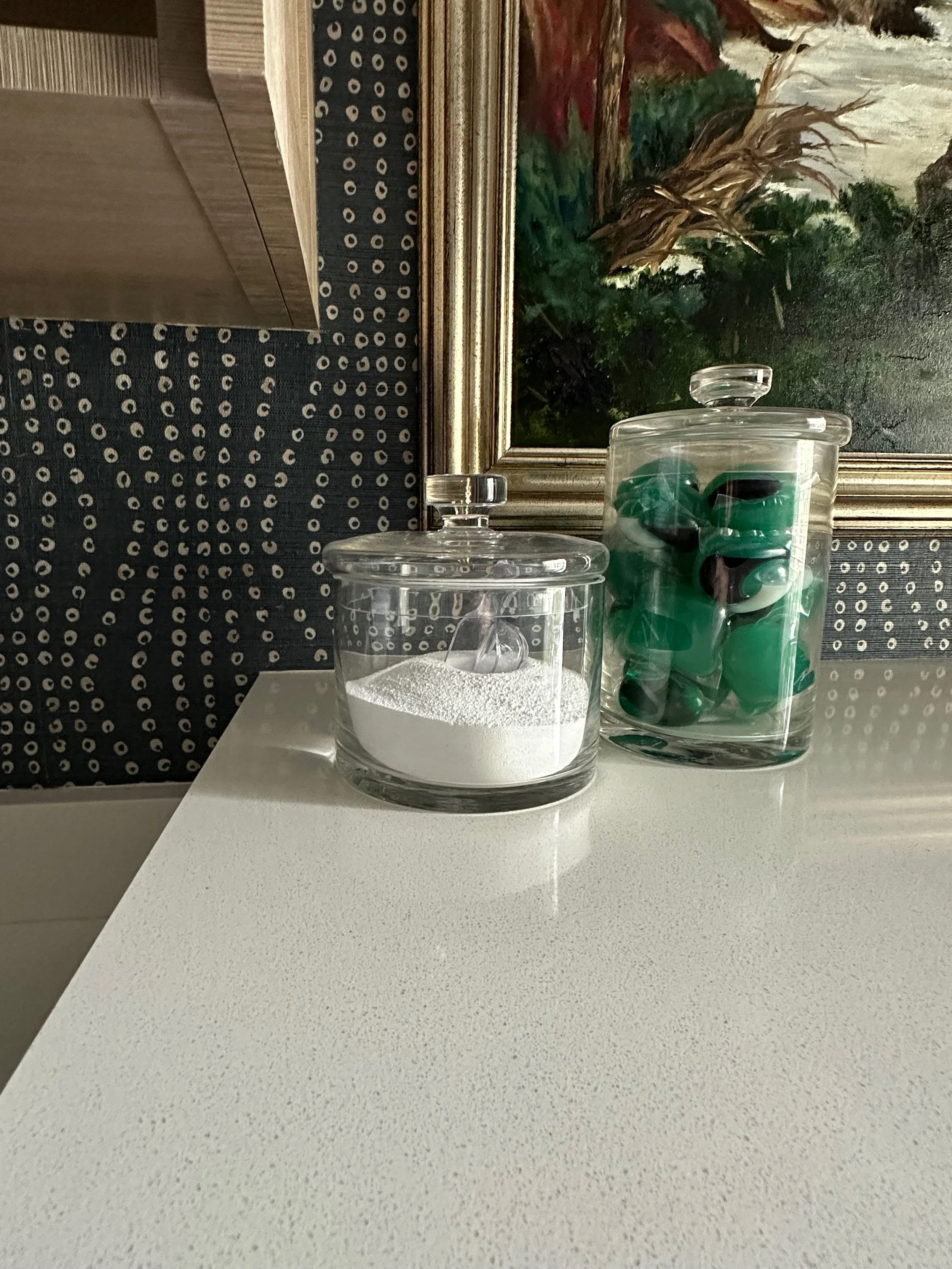 Glass jars on a white countertop, one containing white powder and the other filled with green detergent pods; background includes a patterned wall and a framed painting.