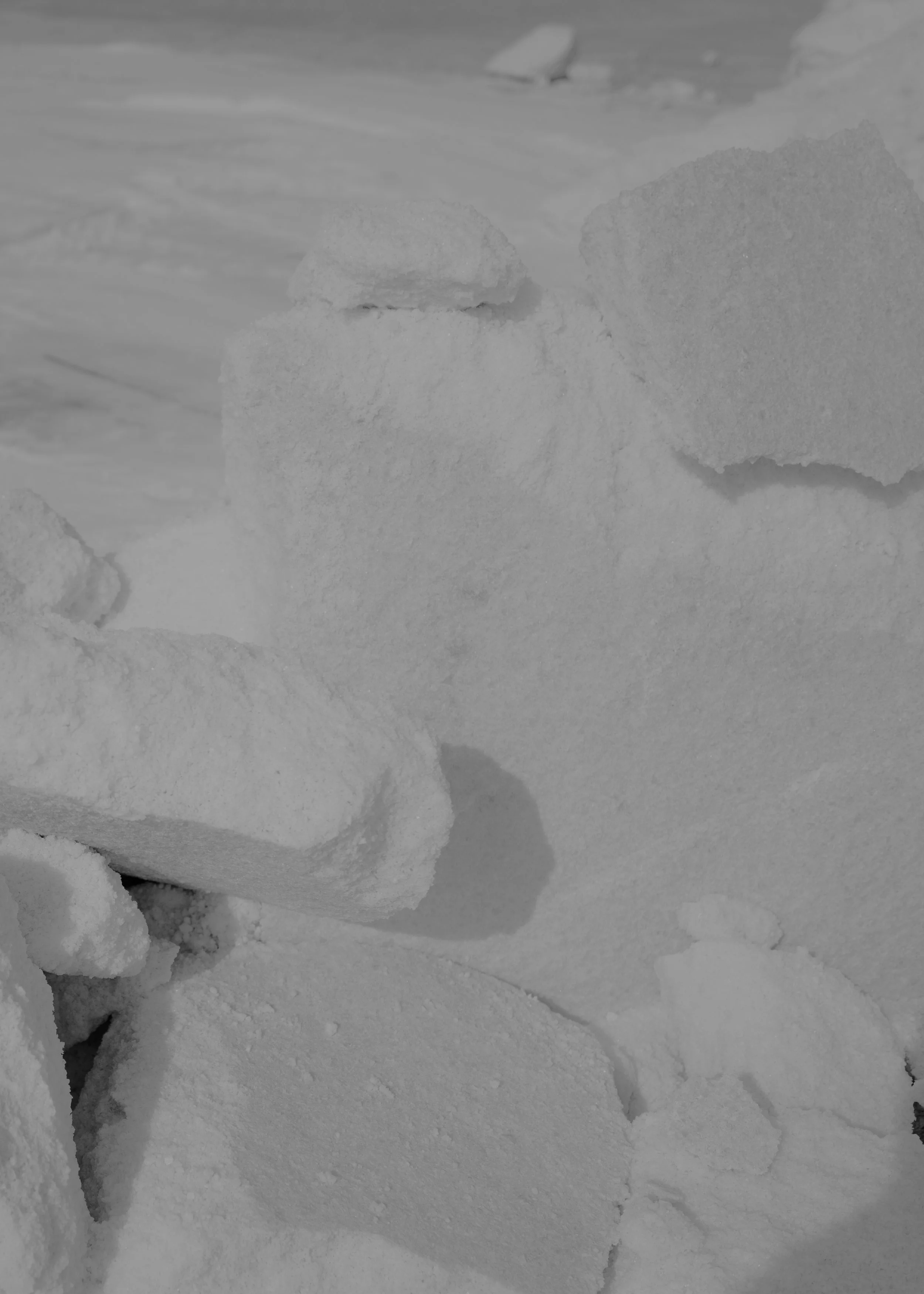 009_220525_antoniomantovani_ginmarexleica.jpg