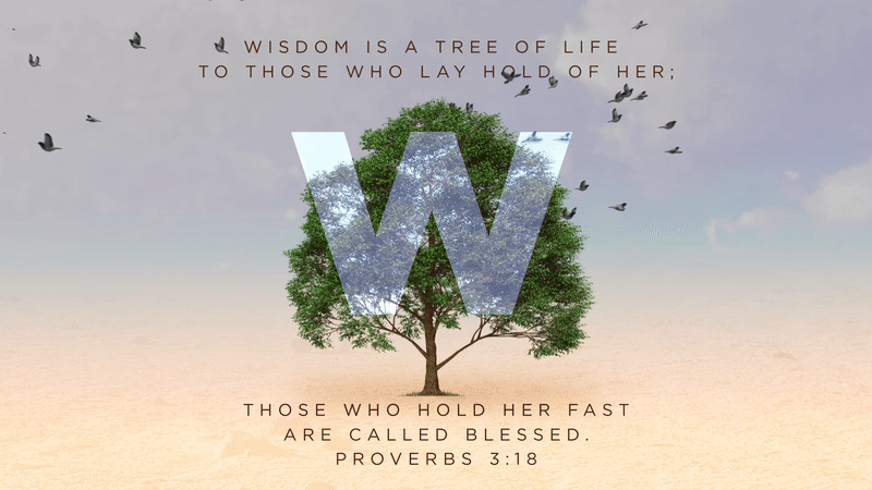 Church Media Squad - Graphic Design Social Media Branding Video Websites for Churches