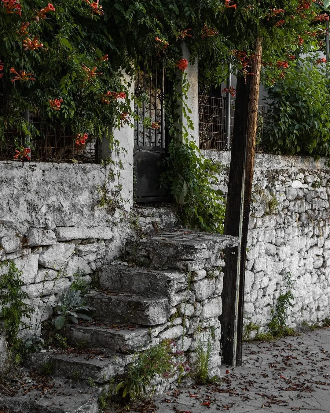 ☺️🥰

.
.
.
#cozyvibes #oldtown #simplylovely #thasosisland #summermemories #summervacation #stairsandsteps #canon90d #lovemycamera