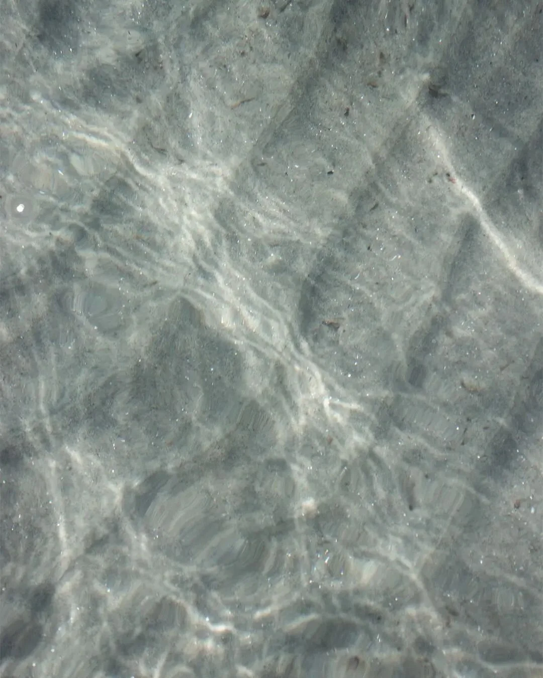 Thassos underwater &amp; wildlife. 🐢

.
.
.
#thassos #thassosisland #sandwaves #underwater #sealife #turtles #fauna #chilling😎 #seagulls