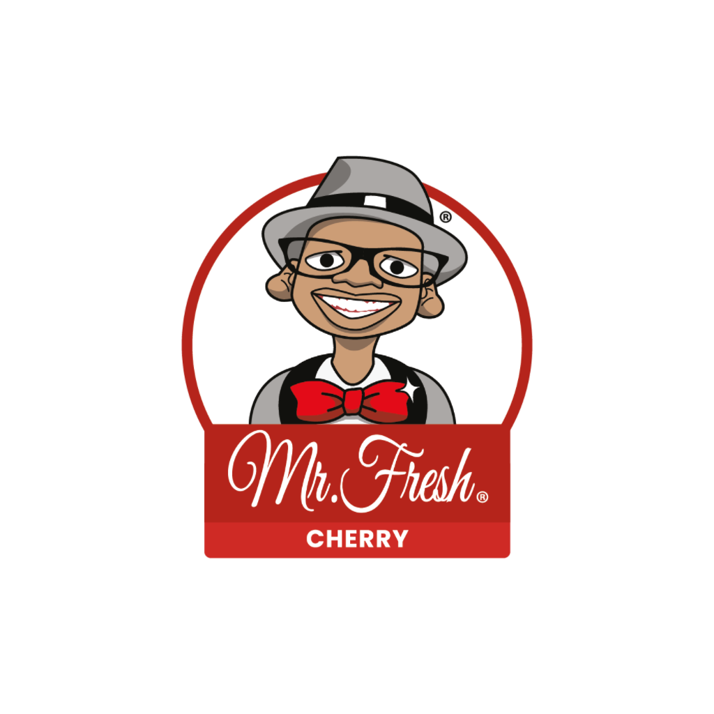Fresh And Famous Mr. Fresh Car Air Freshener — Fresh And Famous