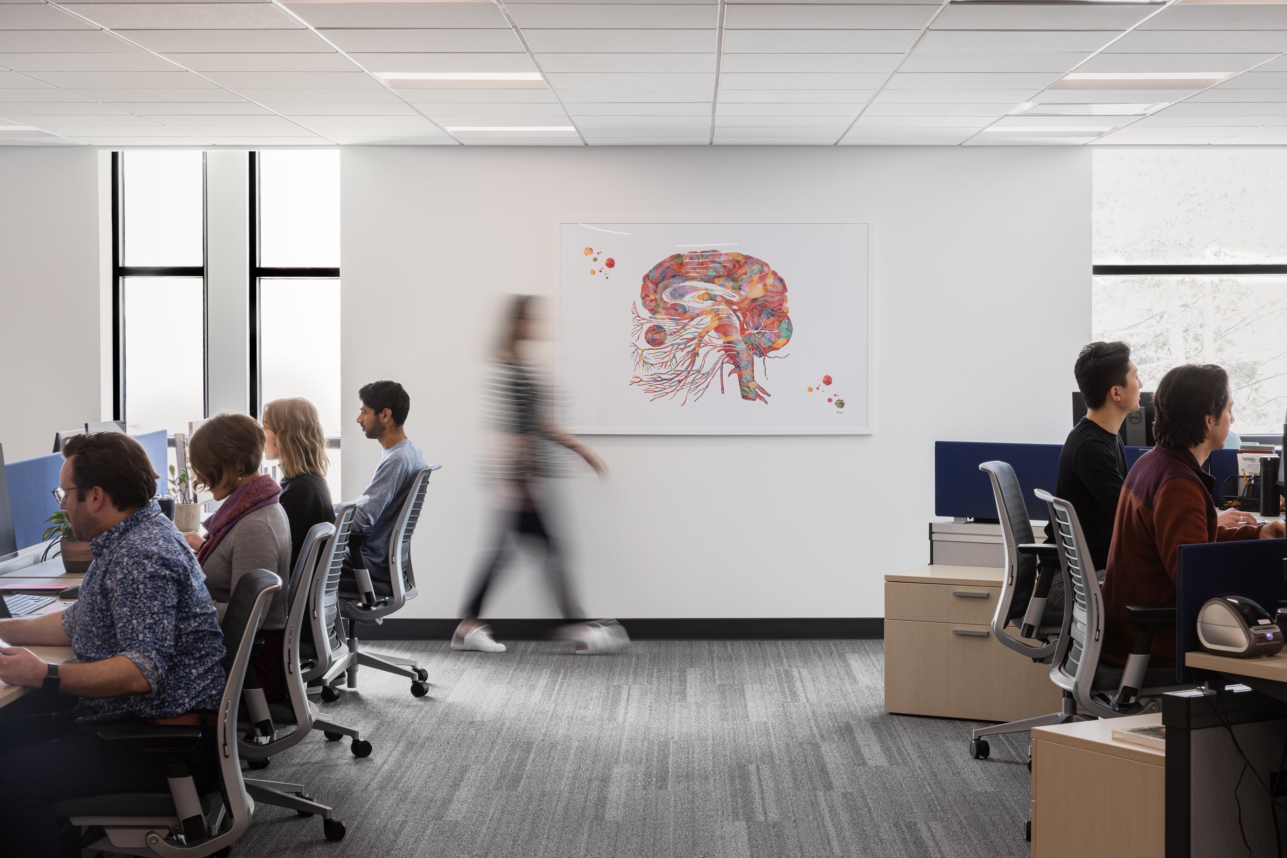 Institute For Human Neuroscience Institute For Human Neuroscience