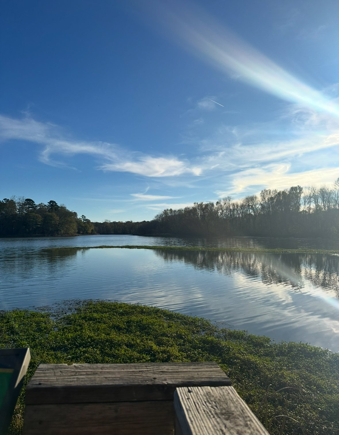 Yoga at the Lake at Conestee Preserve
