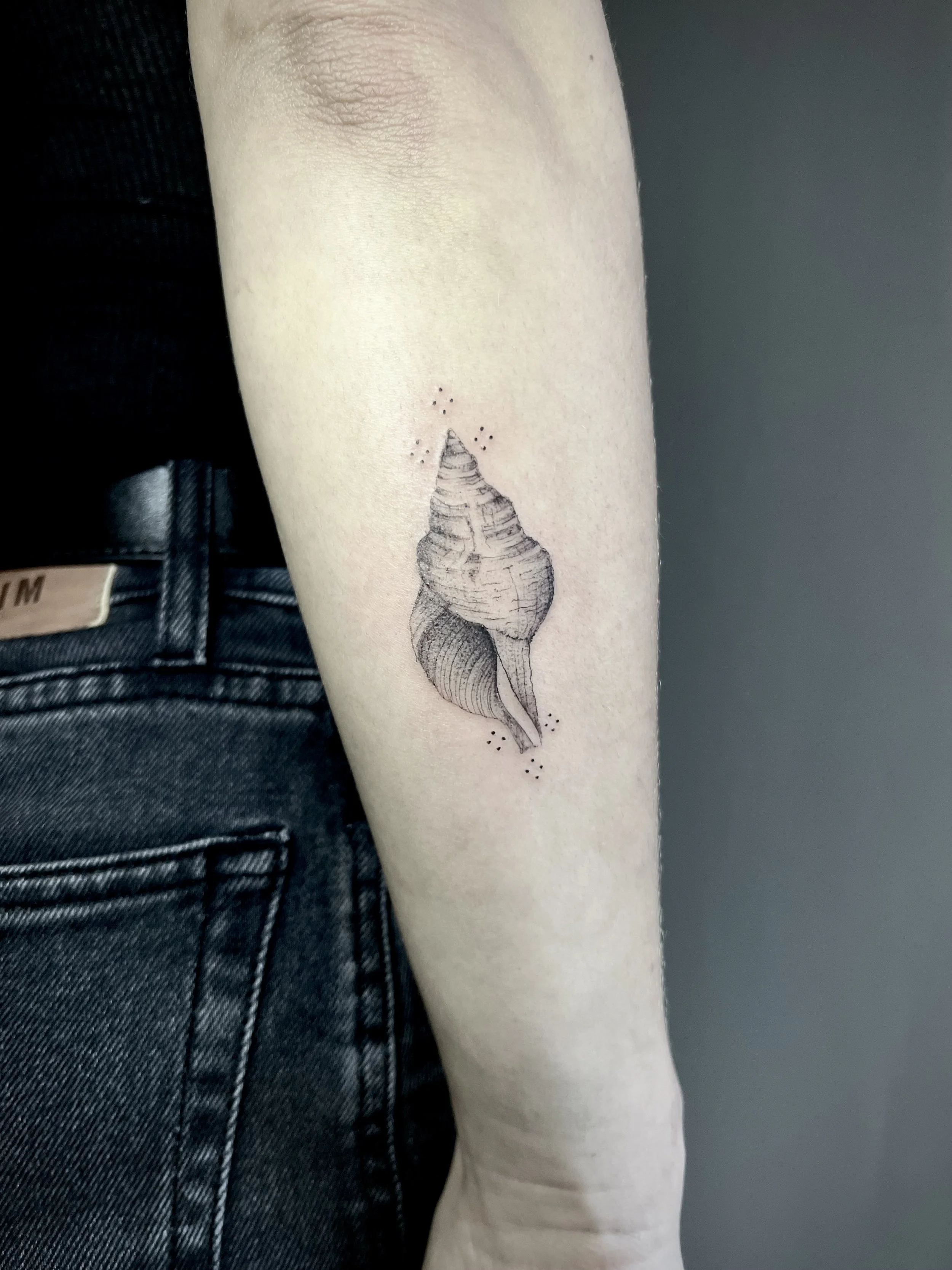 Tatouage d'une coquille de moule sur le bras d'une personne.