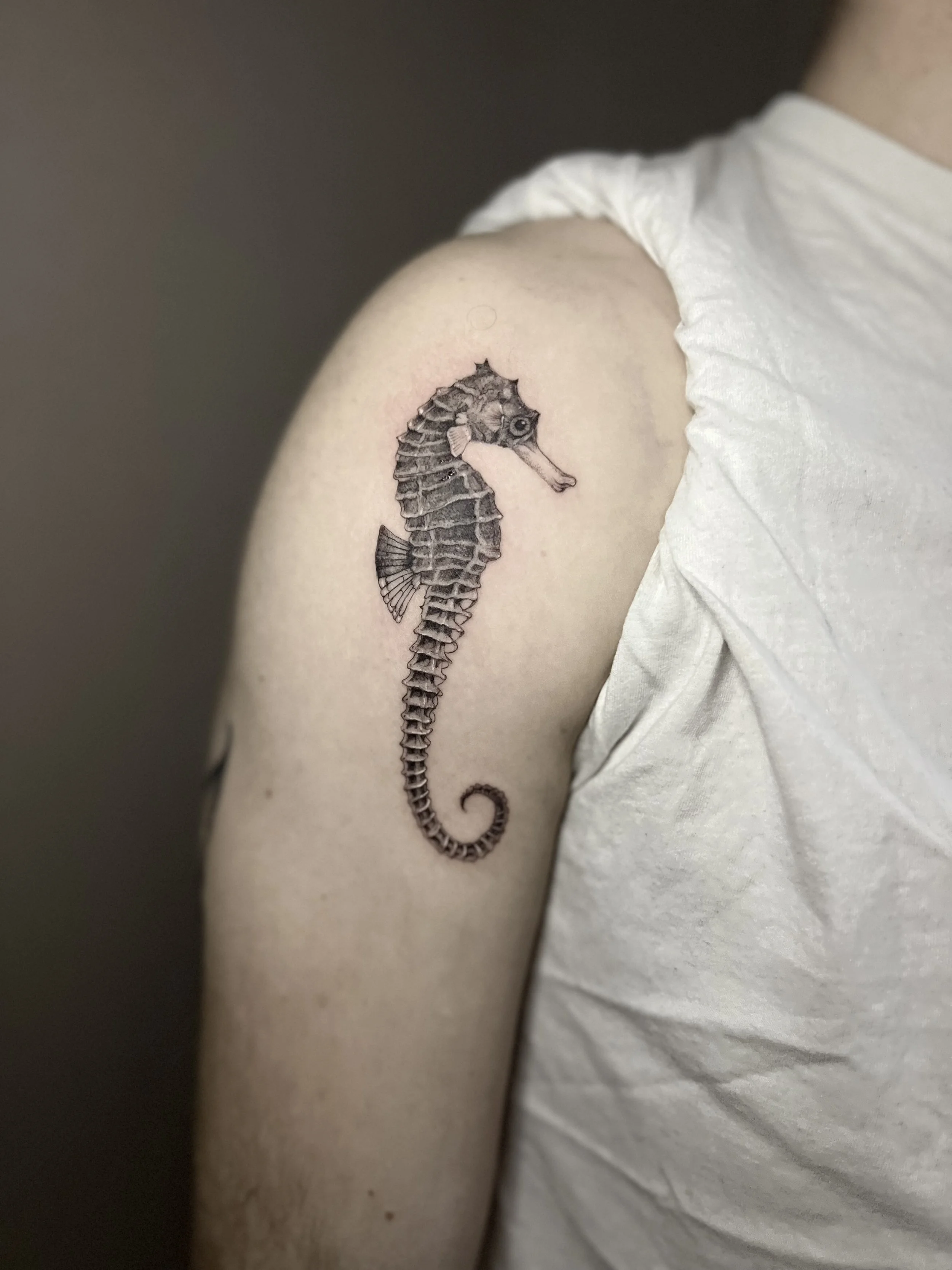 Tatouage d'un hippocampe noir et gris sur le bras d'une personne.