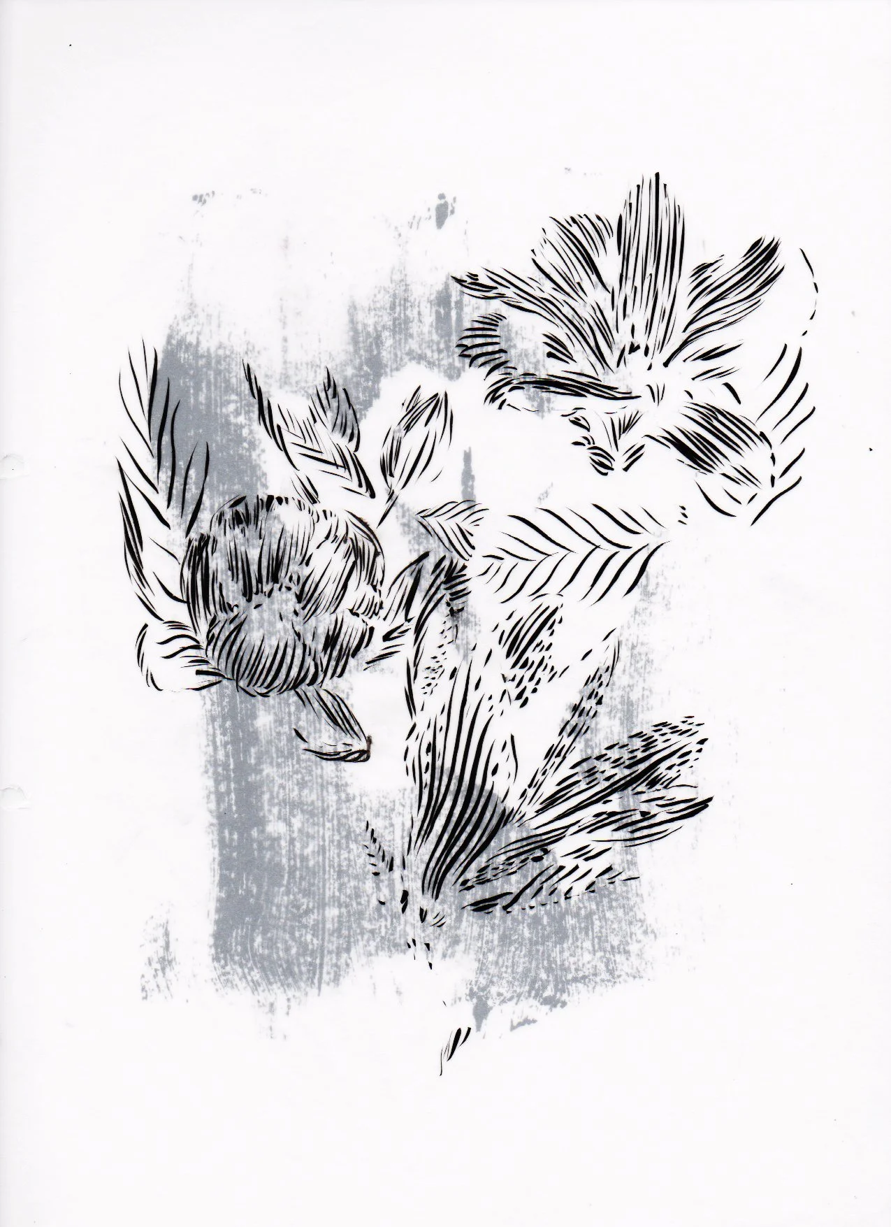 sketchbook 1 copy.jpeg
