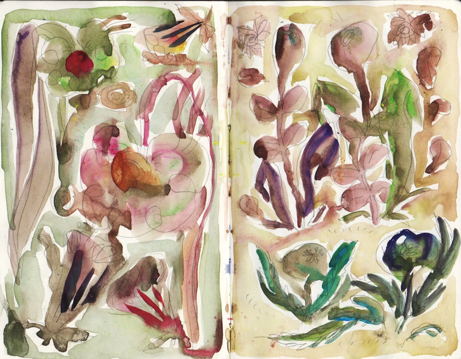 sketchbook 2.jpg